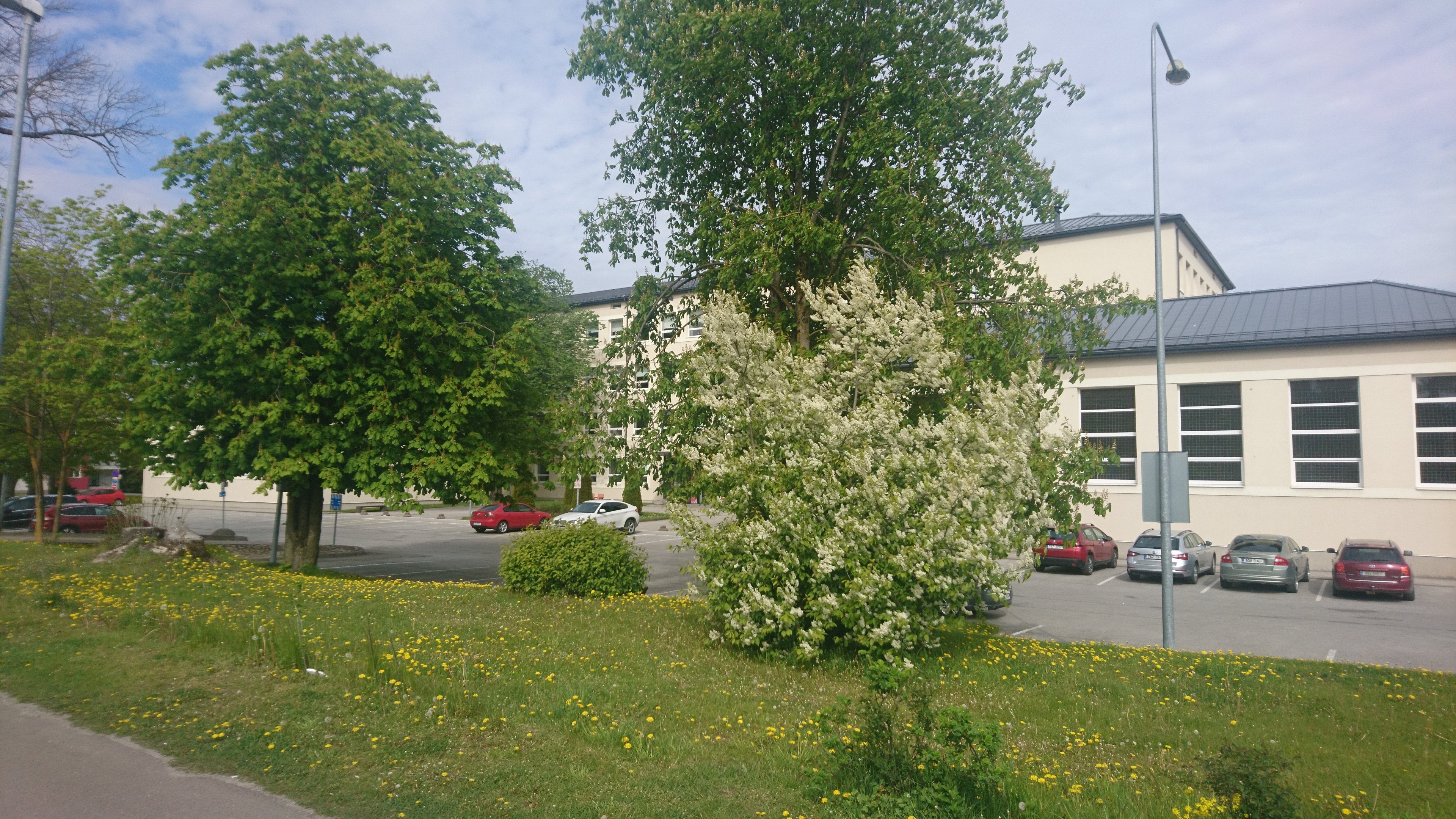 Ready for Tallinn 2. Internship school building on Matrossov Street. rephoto