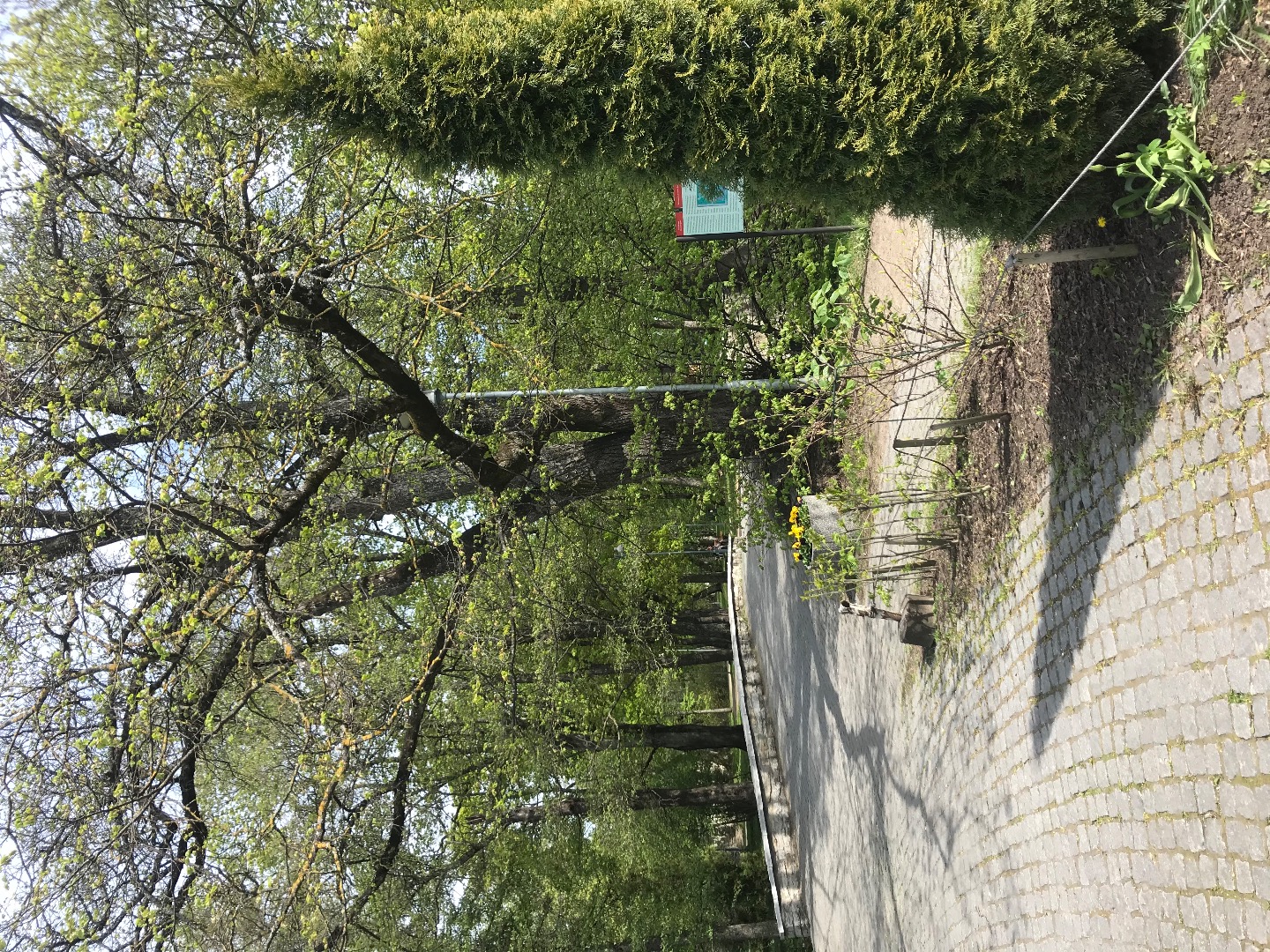 Lövenruh suvemõisa park, vaade sillale ja lõvifiguurile rephoto