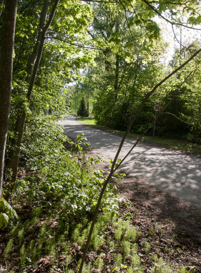 Photo Nuia Mountain Viljandi-Oiu highway in Viljandimaa rephoto