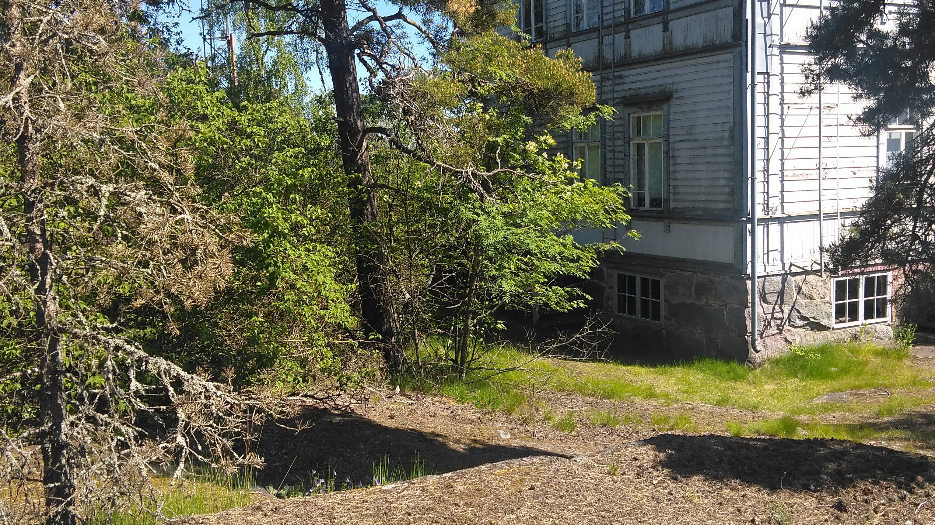 Joukko ihmisiä istumassa ulkona kallioilla ja aurinkotuoleissa Pihlajasaaressa. Oikealla näkyy nk. "Elannon huvila", Wästanhäll. rephoto