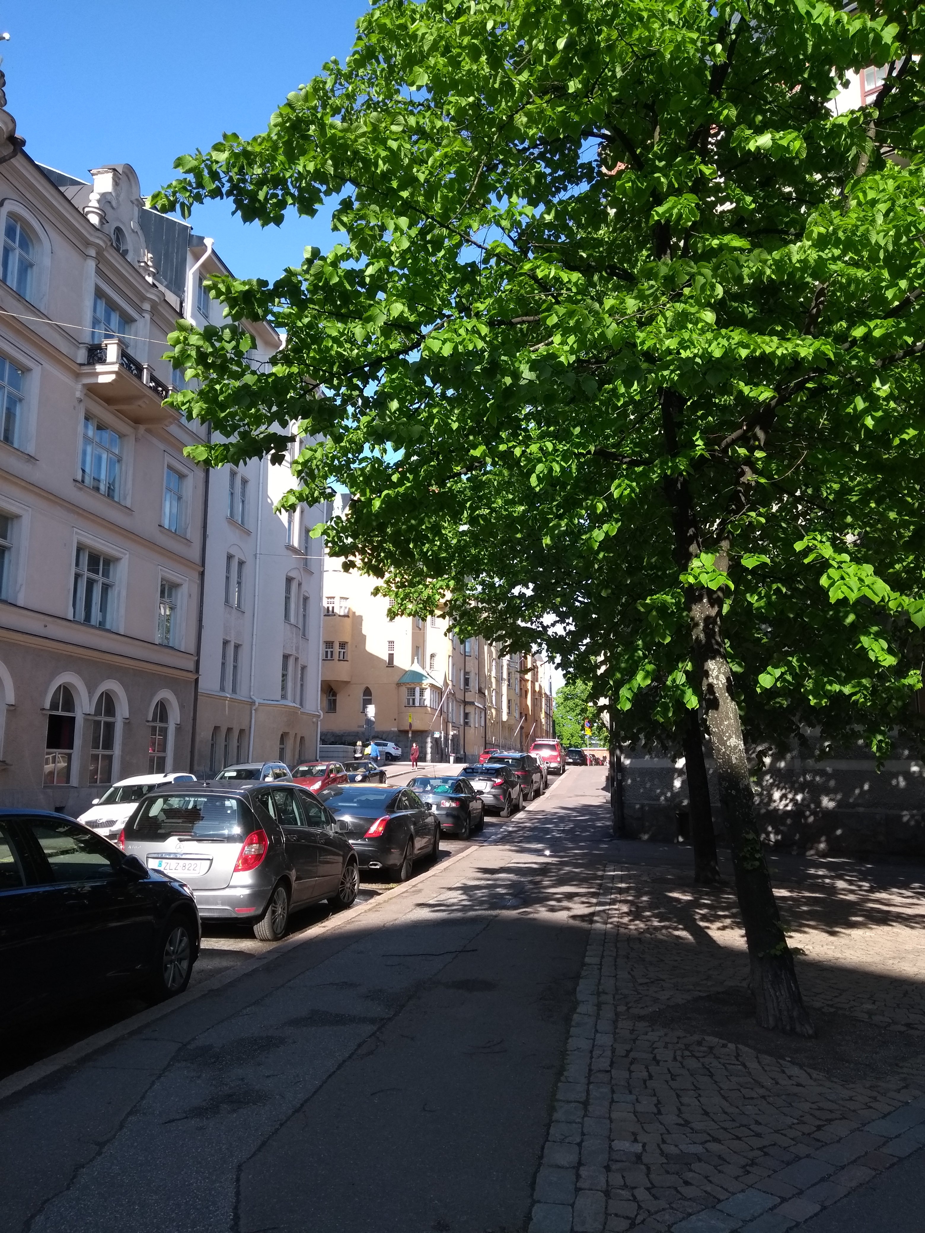 Kauppiaankatu 3, 5.; negatiivi ja vedos, lasi paperi pahvi, mv rephoto
