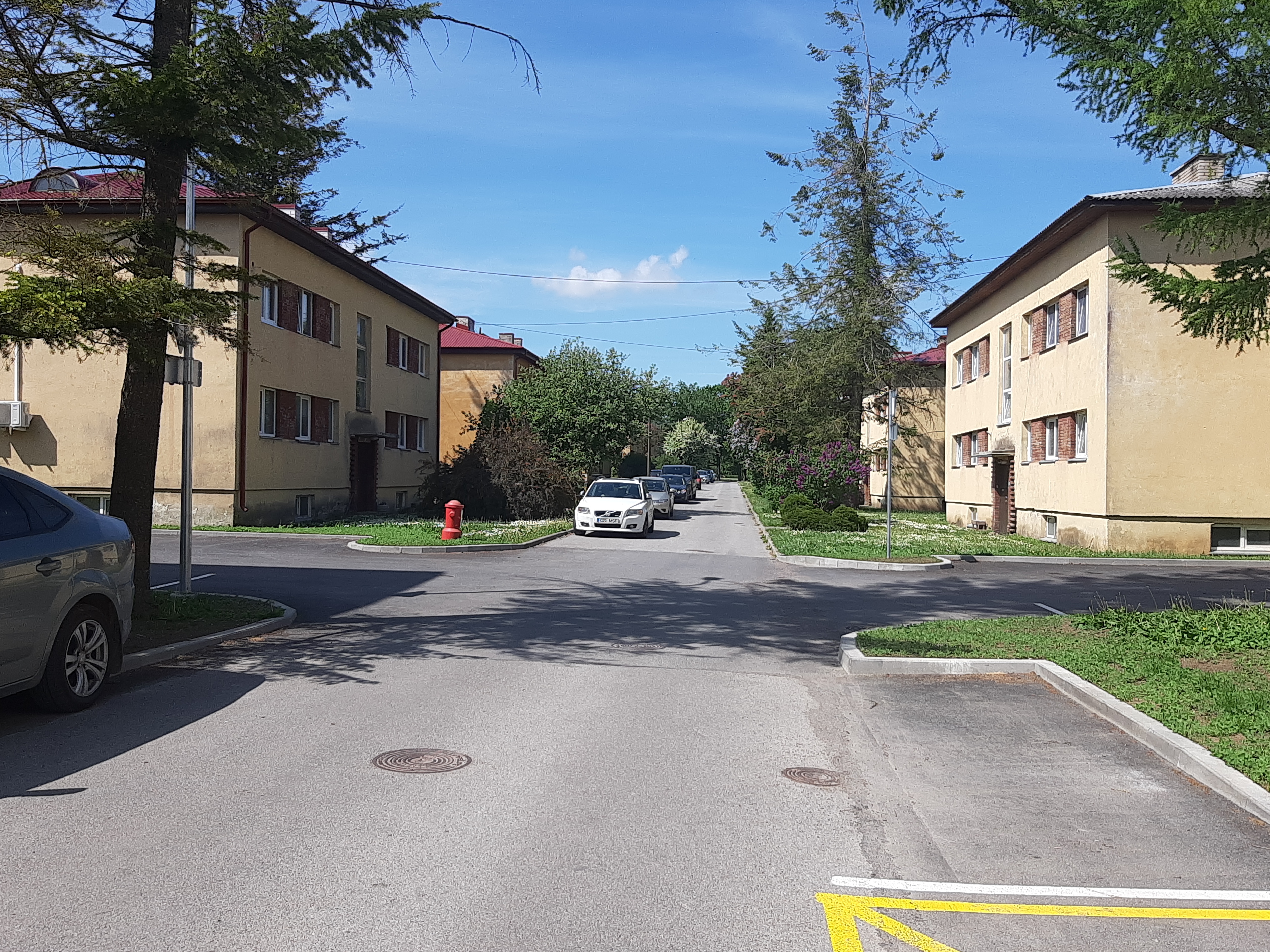 ENSV Teeneline ajakirjanik N.S.Hrabrova 50a. rephoto