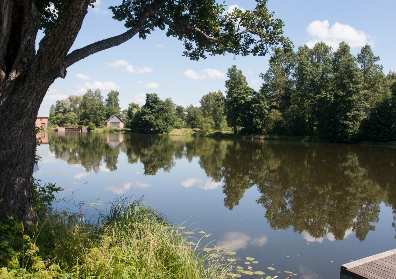 Hellenurme park endise Hellenurme mõisa lähedal rephoto