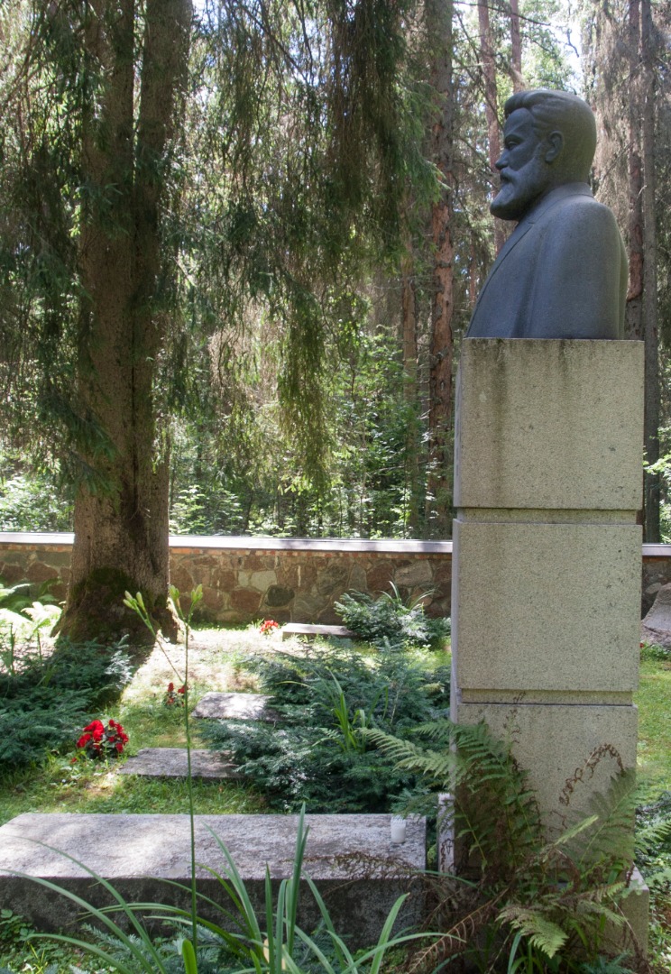 C. R. Jakobson's kalm on Kurgjal rephoto
