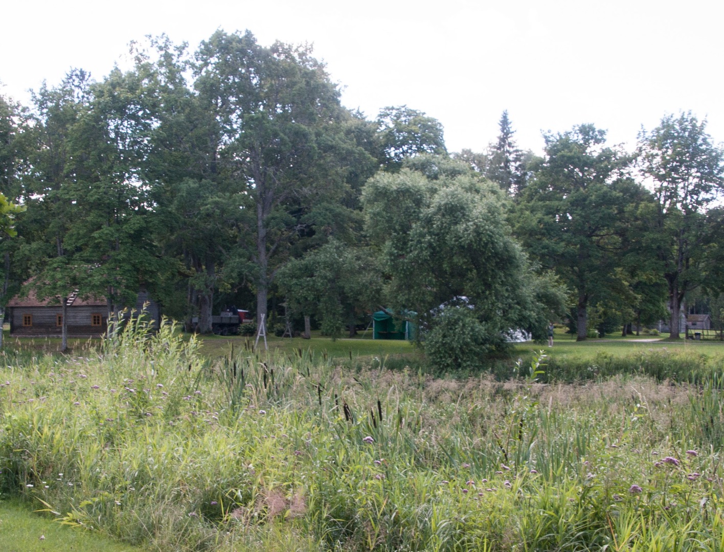 Rippsild Kurgja-Linnutajal. Vaade Pärnu jõe paremalt kaldalt. rephoto