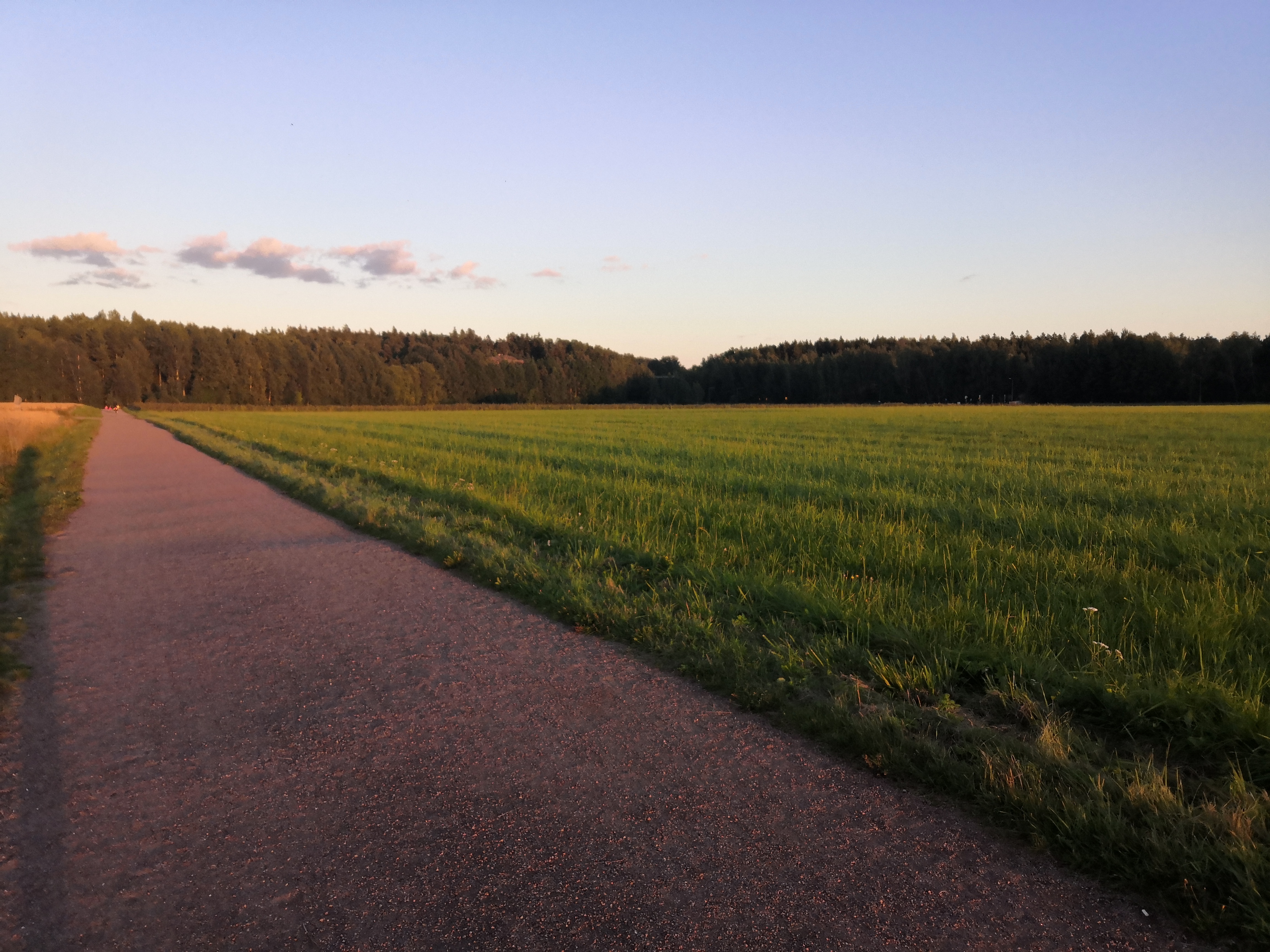 6.Rask.It.Ptri, Viikin field: General photos of connections. rephoto