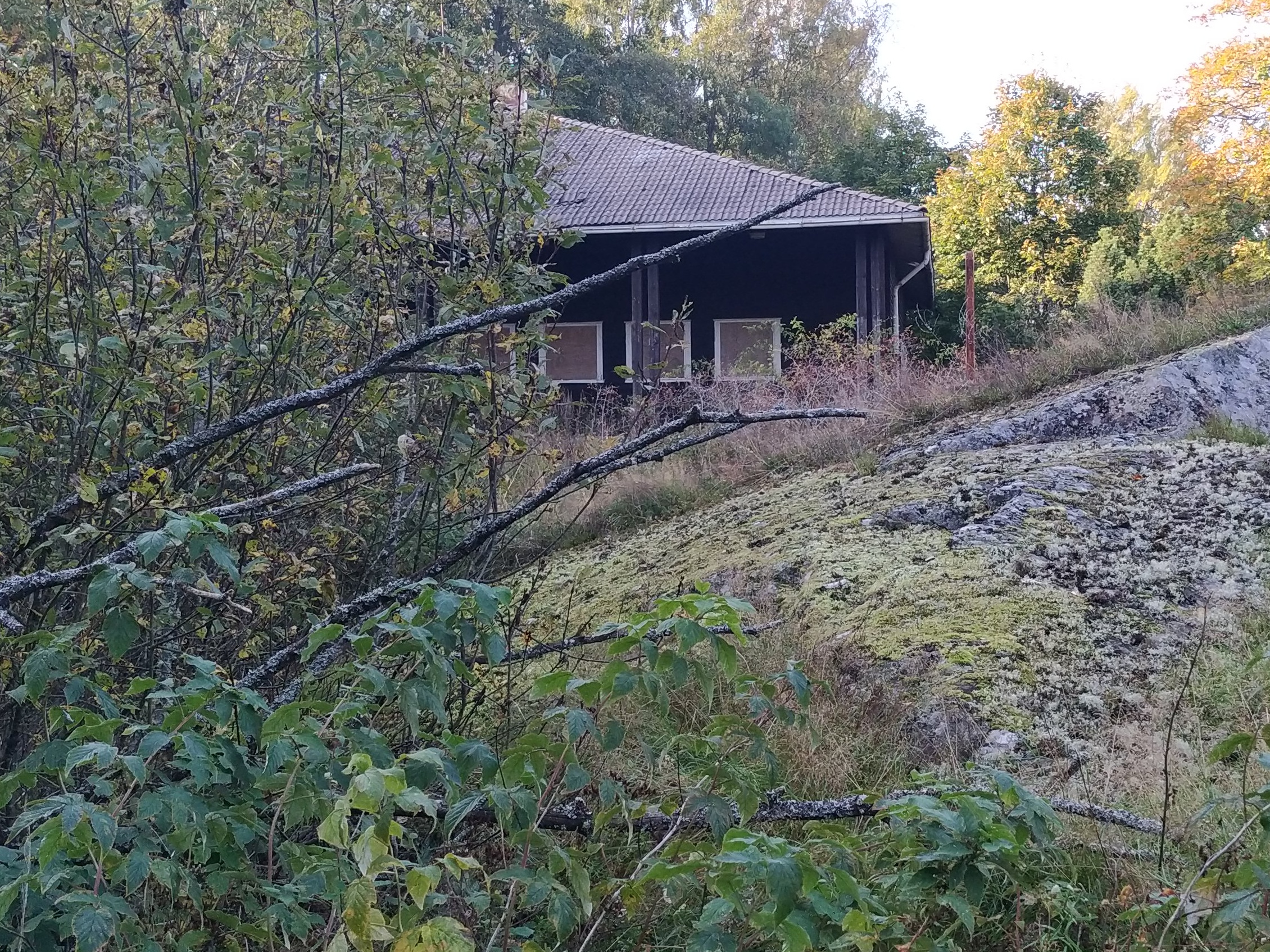 Opettaja Juha Alanen ja koululaisia mäenrinteessä Vallisaaressa. Taustalla näkyy vuonna 1958 saarelle valmistunut koulurakennus. Ryhmäkuva on otettu keväisessä auringonpaisteessa. rephoto