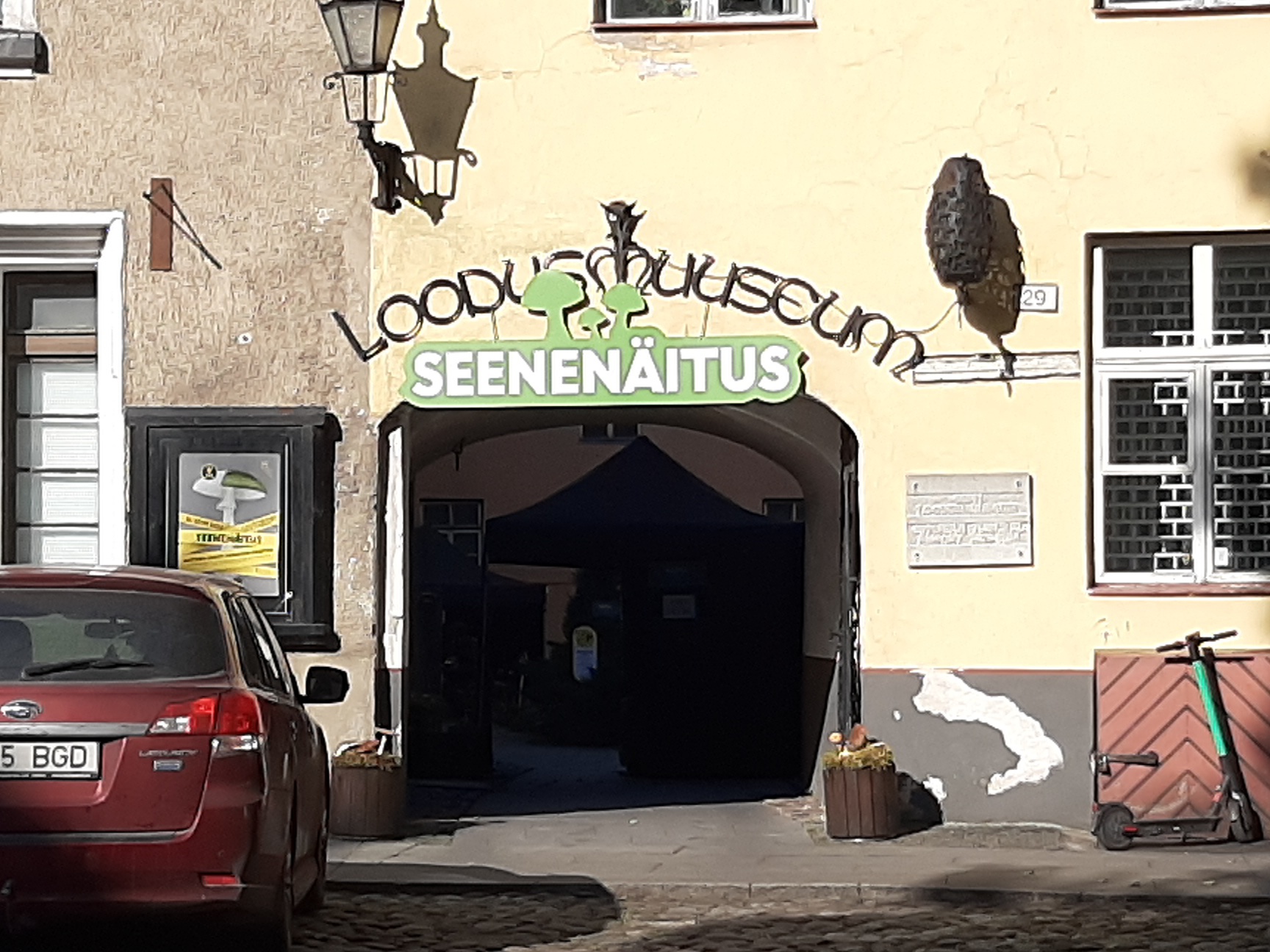 Estonian Nature Museum in Tallinn on Laial Street rephoto