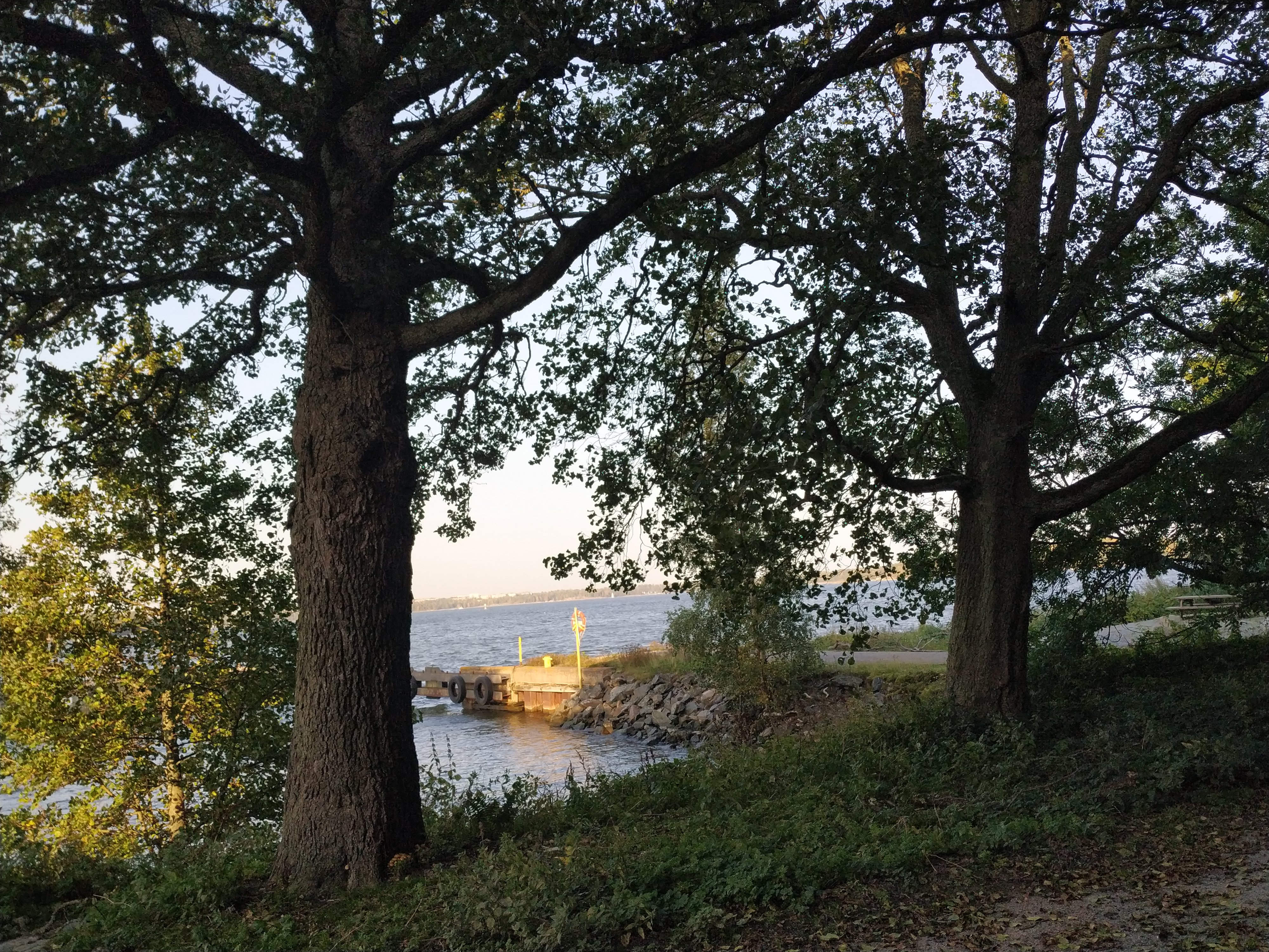 Halkojaala Vallisaaren rannassa. Laituri sijaitsee Luotsitalon edustalla. Laituriin on kytketty useita puisia veneitä ja jaala on täydessä halkolastissa. Näkymää kehystää kaksi lehtipuuta. Taivaanrannassa häämöttävät Laajasalo ja Santahamina. rephoto