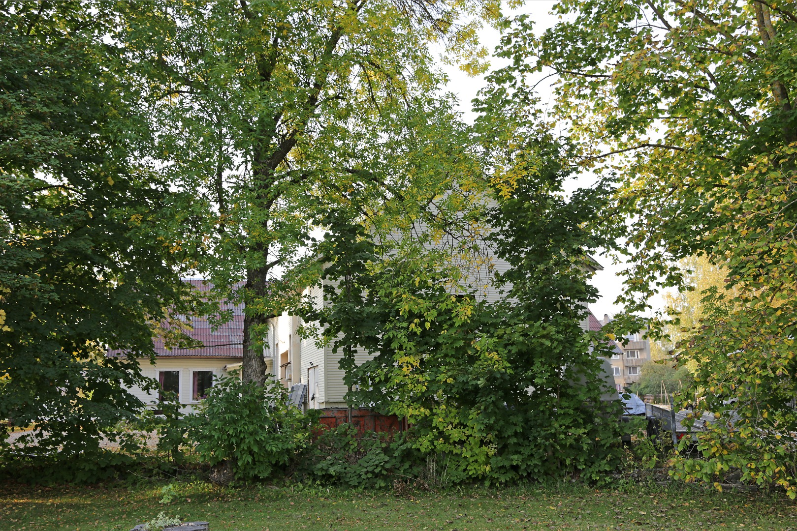 Rear view of Jõgeva cinema rephoto