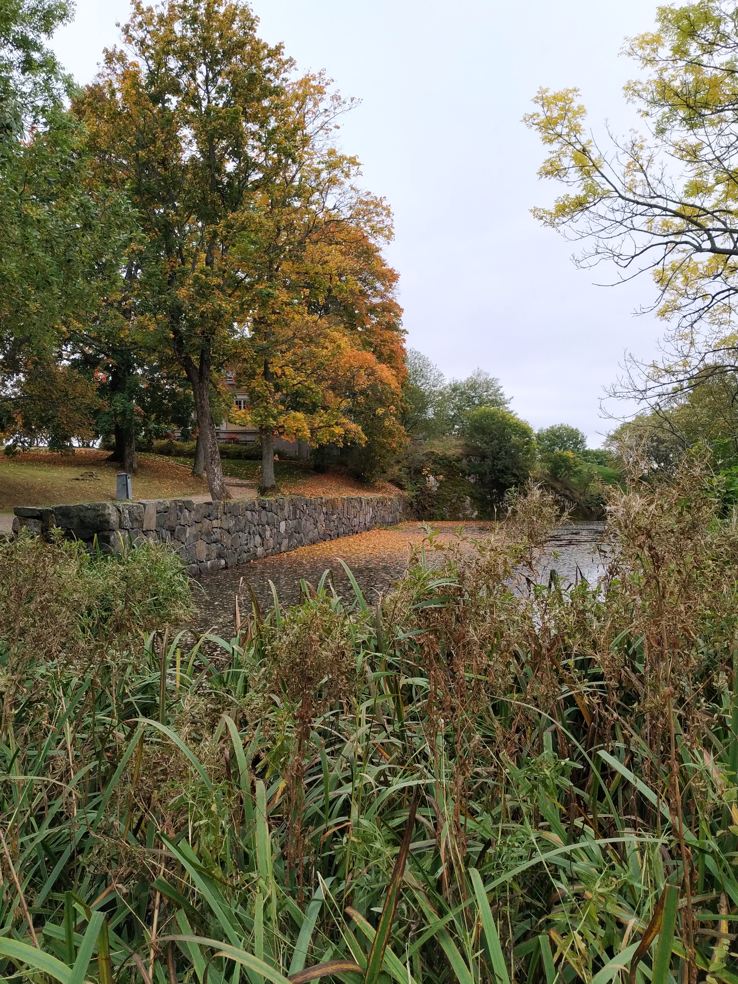 Suomenlinna, Susisaari. Lammikko Piperin puistossa. rephoto