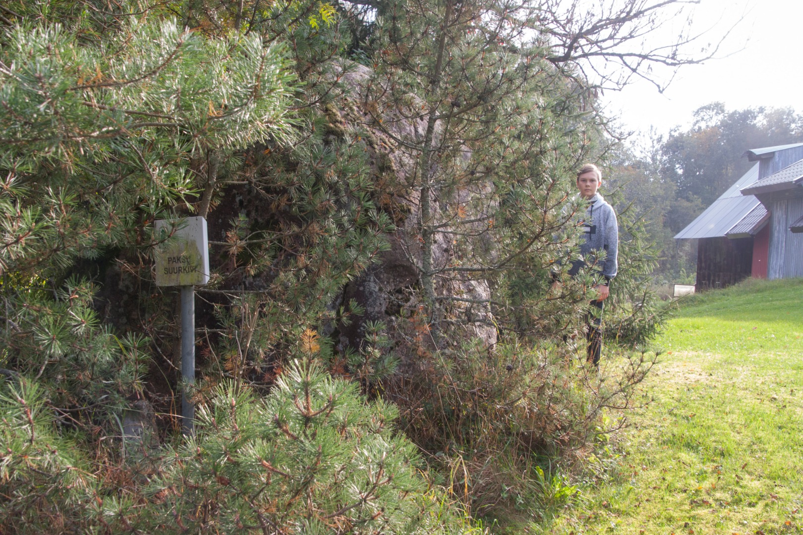 Paksu Suurkivi on the farmhouse of Hiiemäe family, Tääksi village rephoto