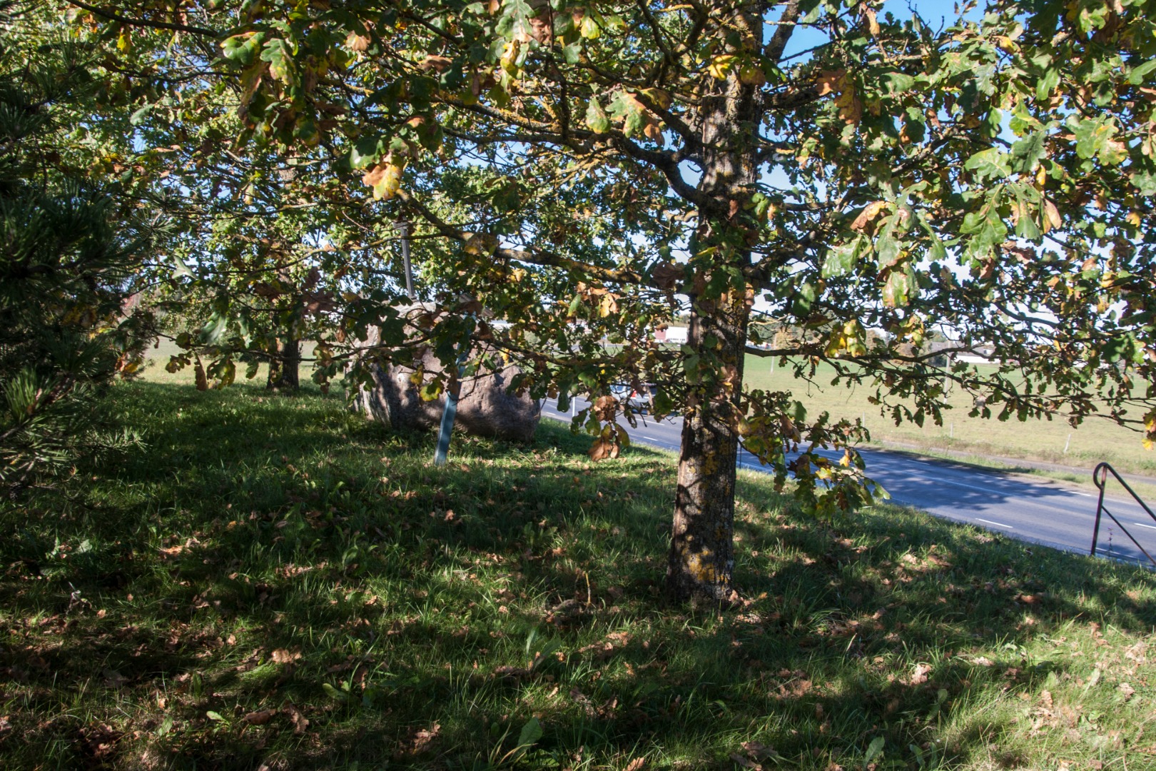 Maapäev Säreveres rephoto