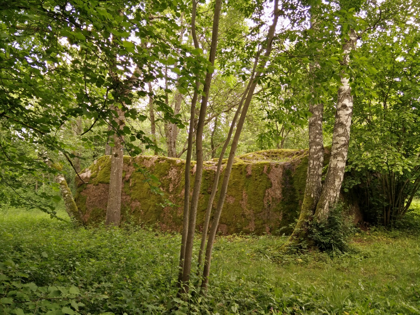 Photo Society Kukka stone, bicycles rephoto