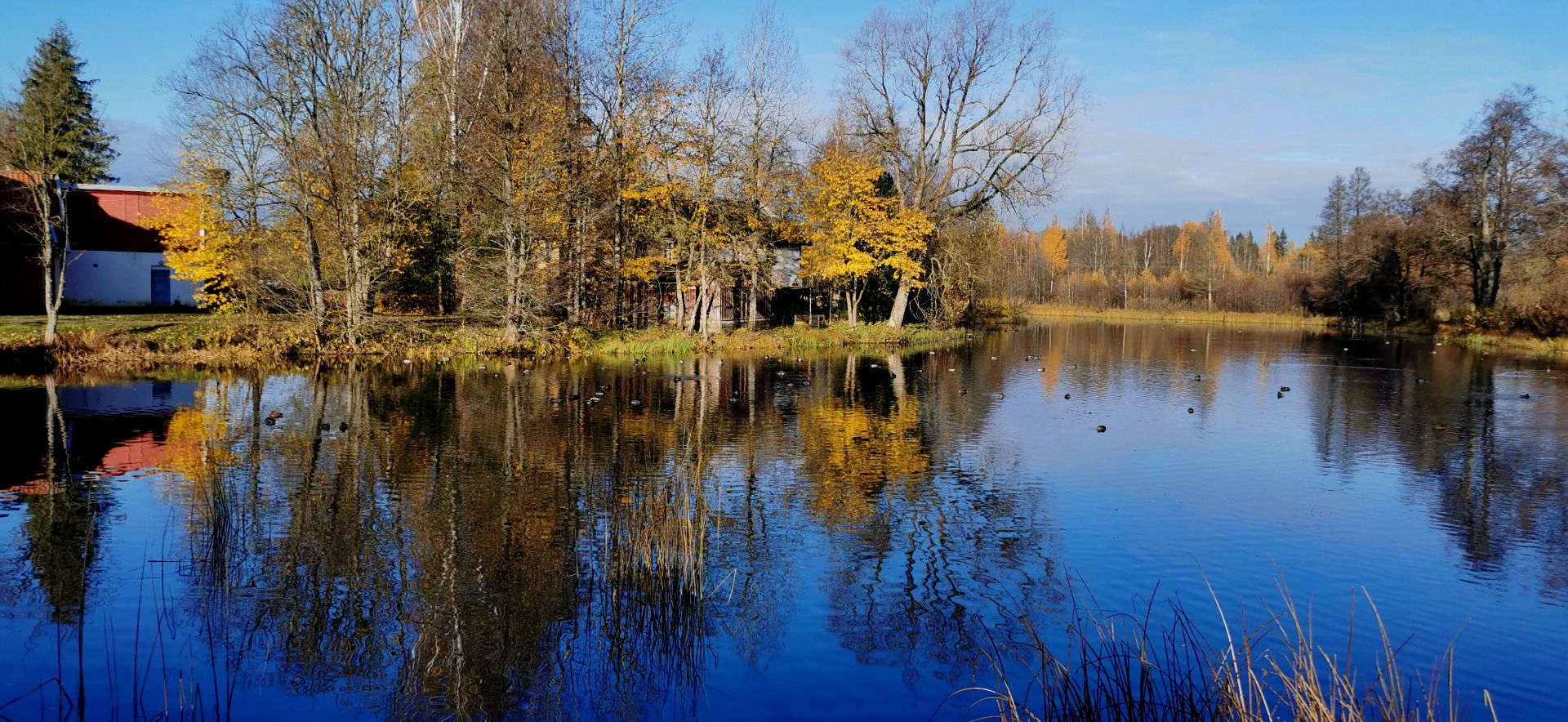 Vaade Palamuse veskijärvele ning Drawneekide riidevärvimistöökoja hoonetele rephoto