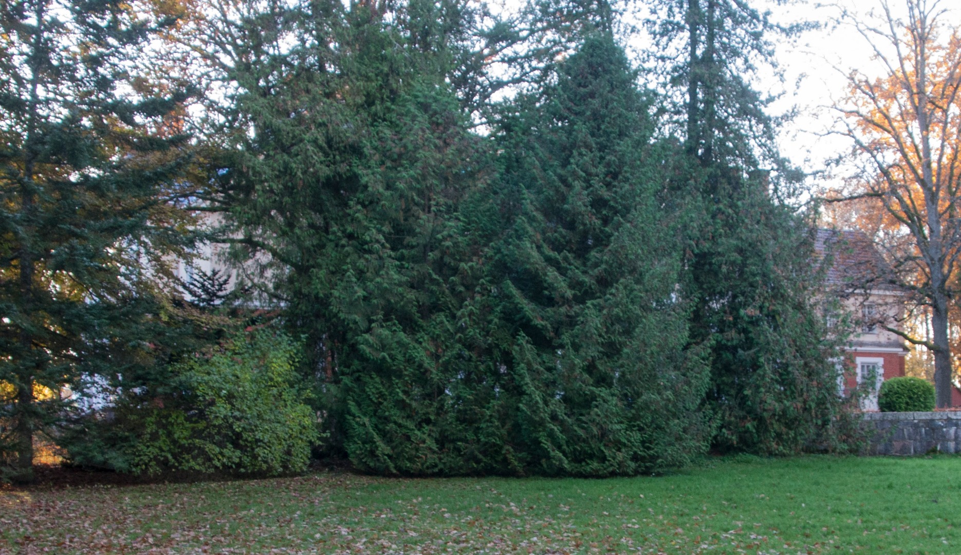 Postcard, Beautivere castle, garden side rephoto