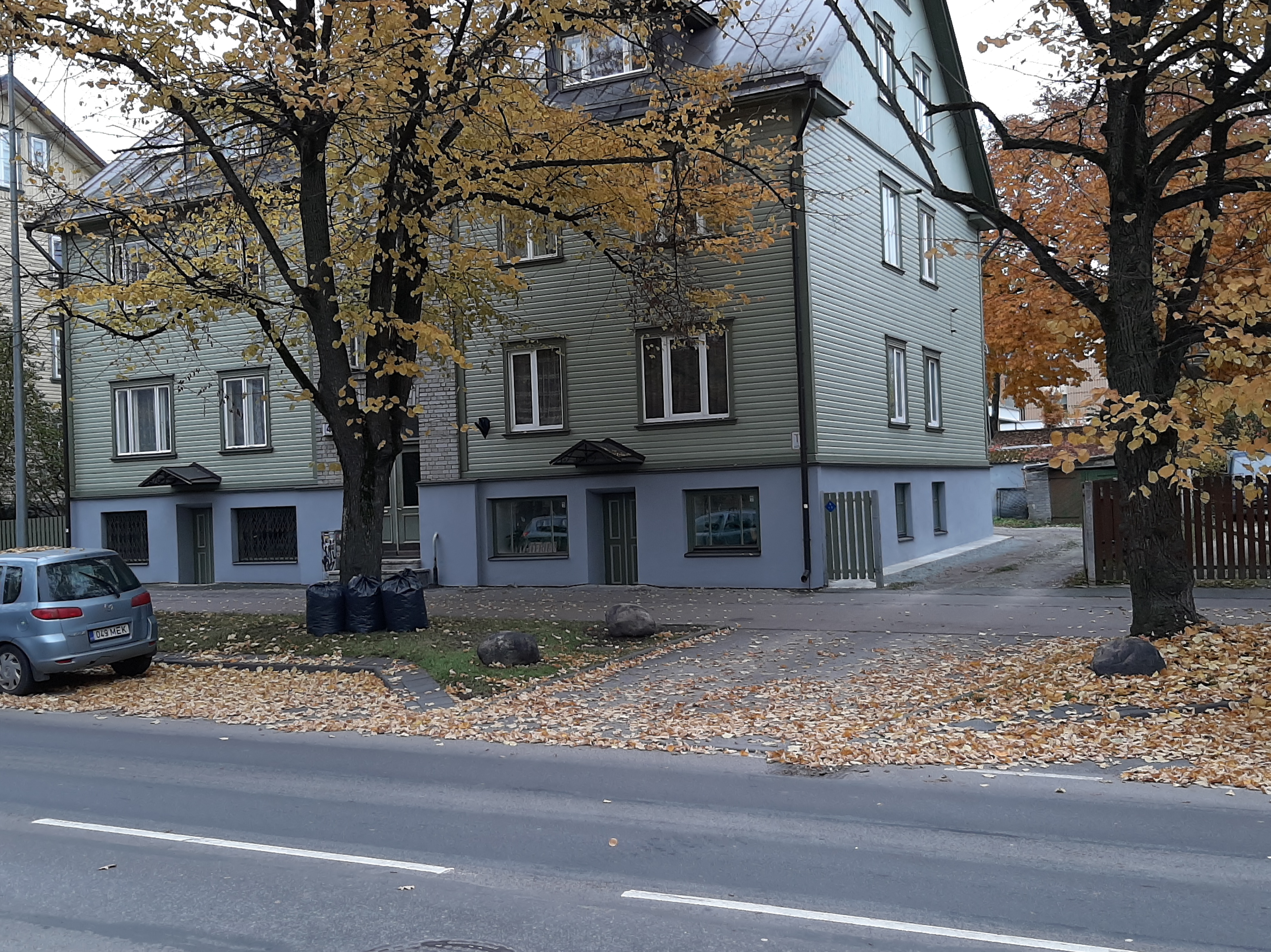 Dressed elephants are moved from the railway station to the circus of Tallinn. rephoto