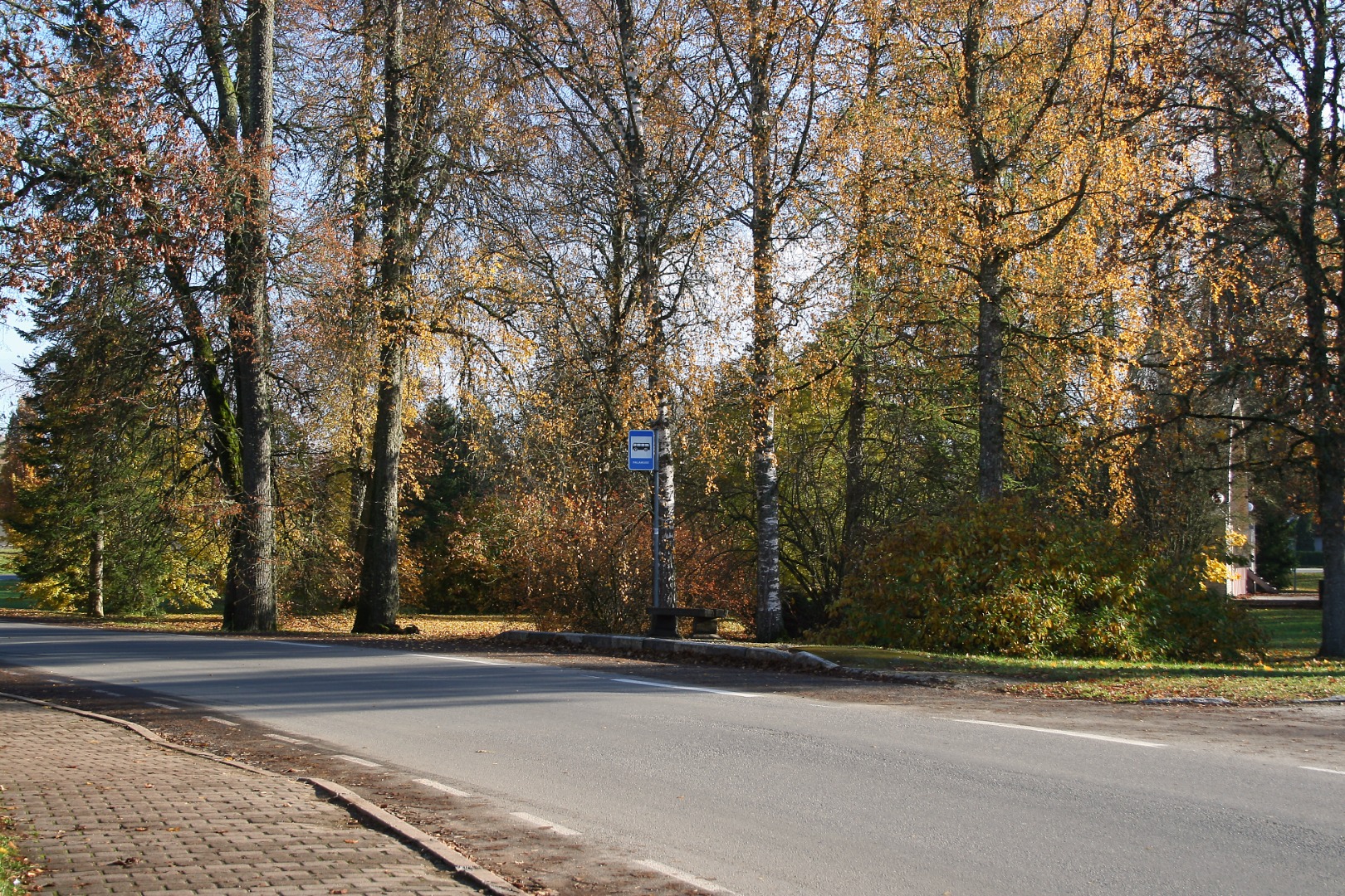 Vaade Palamuse bussijaamale rephoto