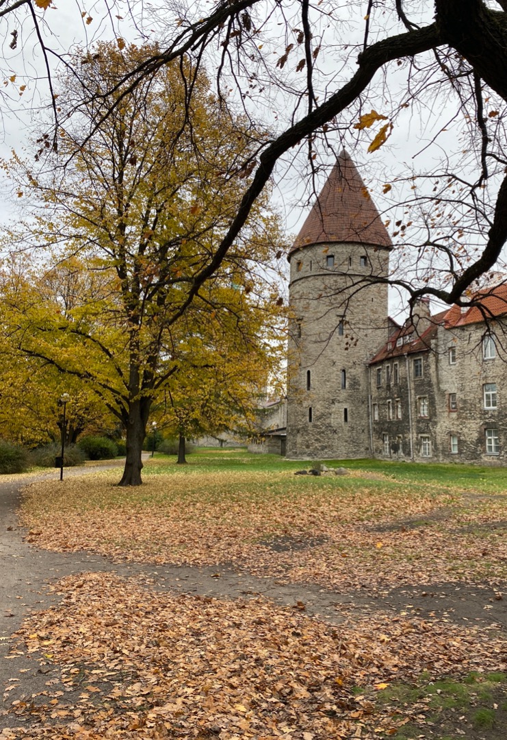Winter Tallinn. The Old Town Towers and the Oleviste Church. rephoto