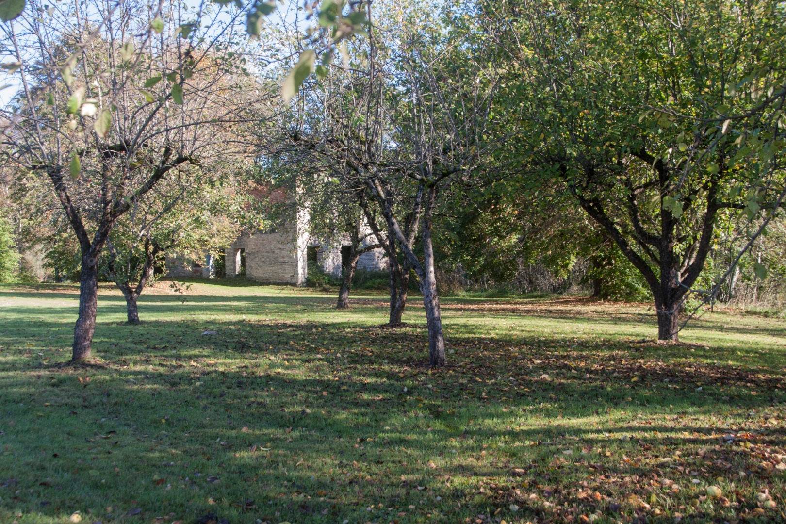 foto varemed Türil Viljandi tänaval 1986 rephoto