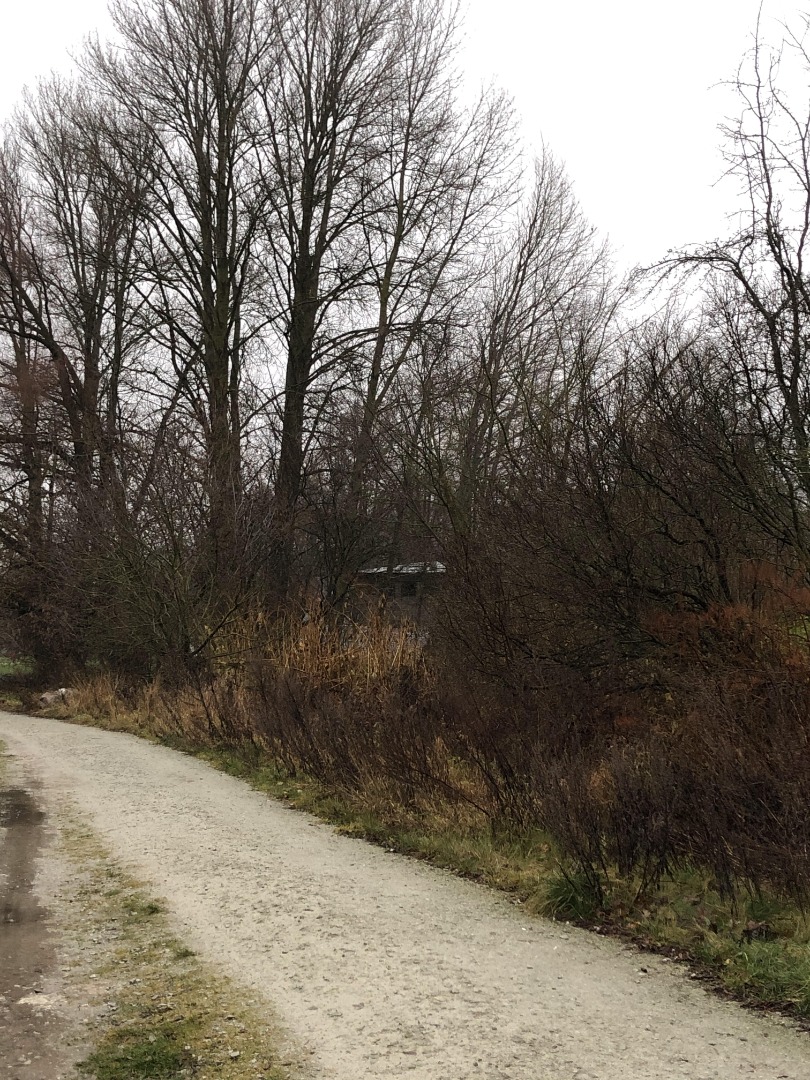 Vaade linnale lõunast rephoto