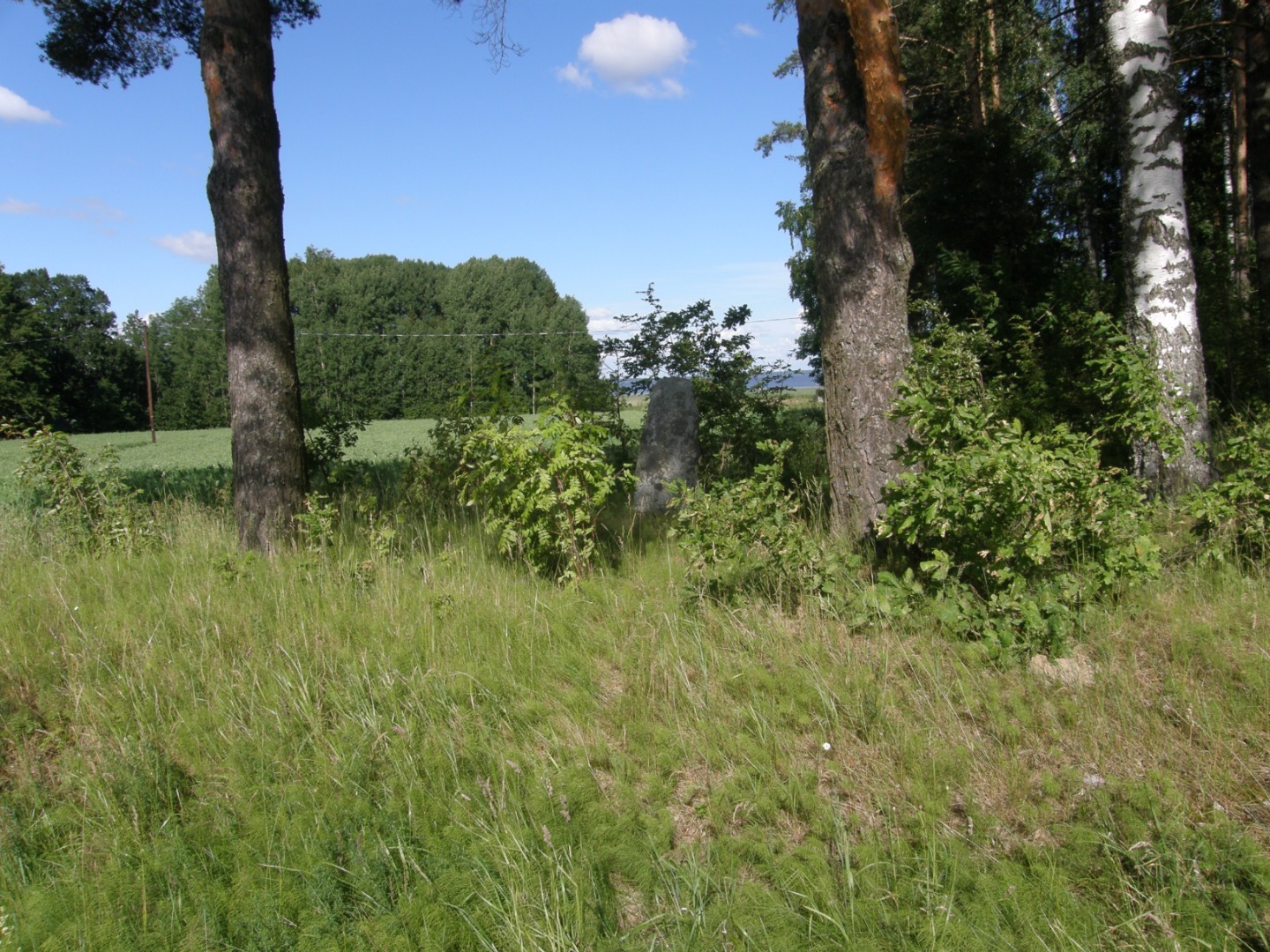 Kalmekivi Tarvastus Viljandimaa rephoto