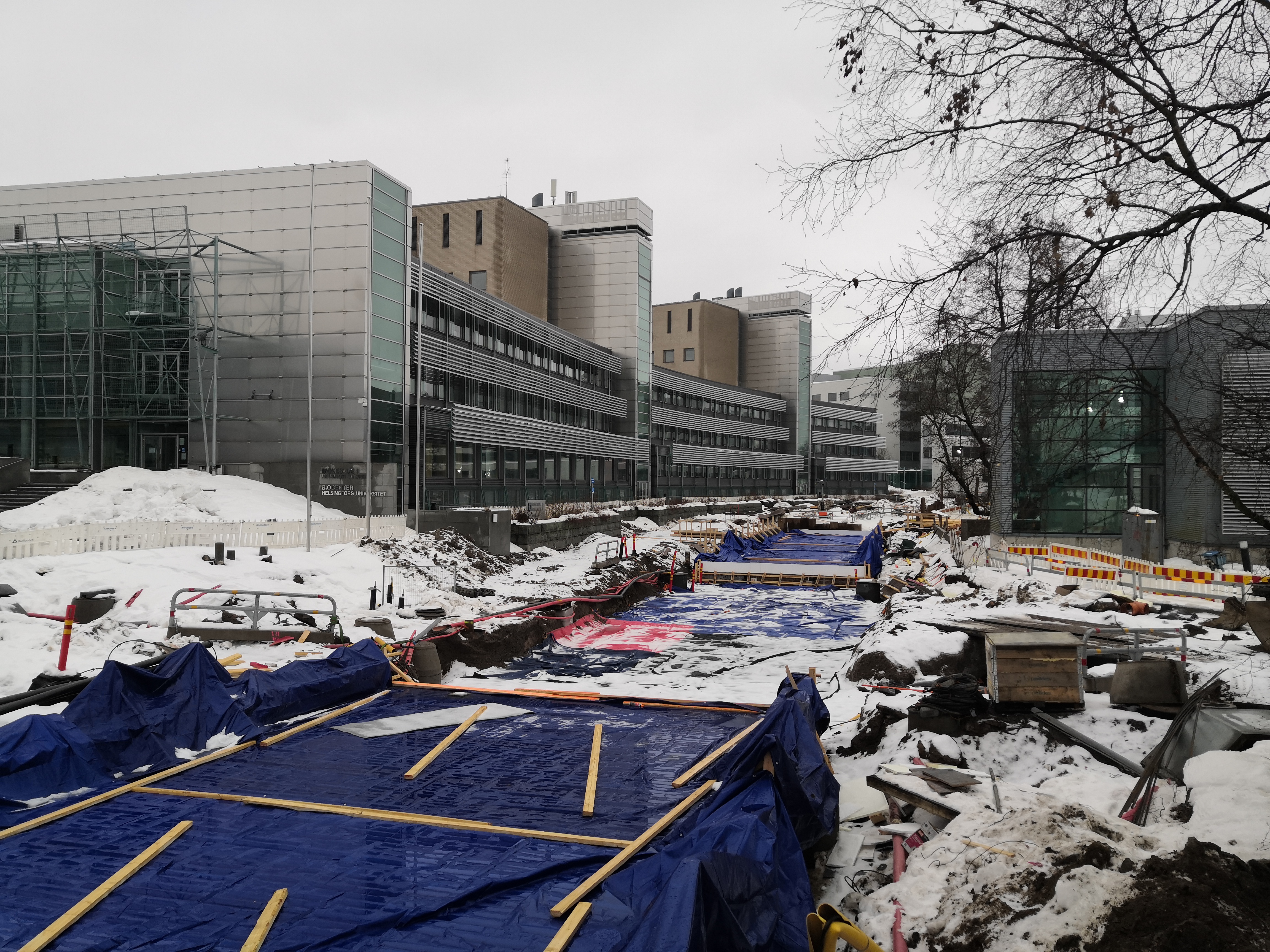 Helsingin yliopiston biokeskus Viikin tiedepuistossa. rephoto