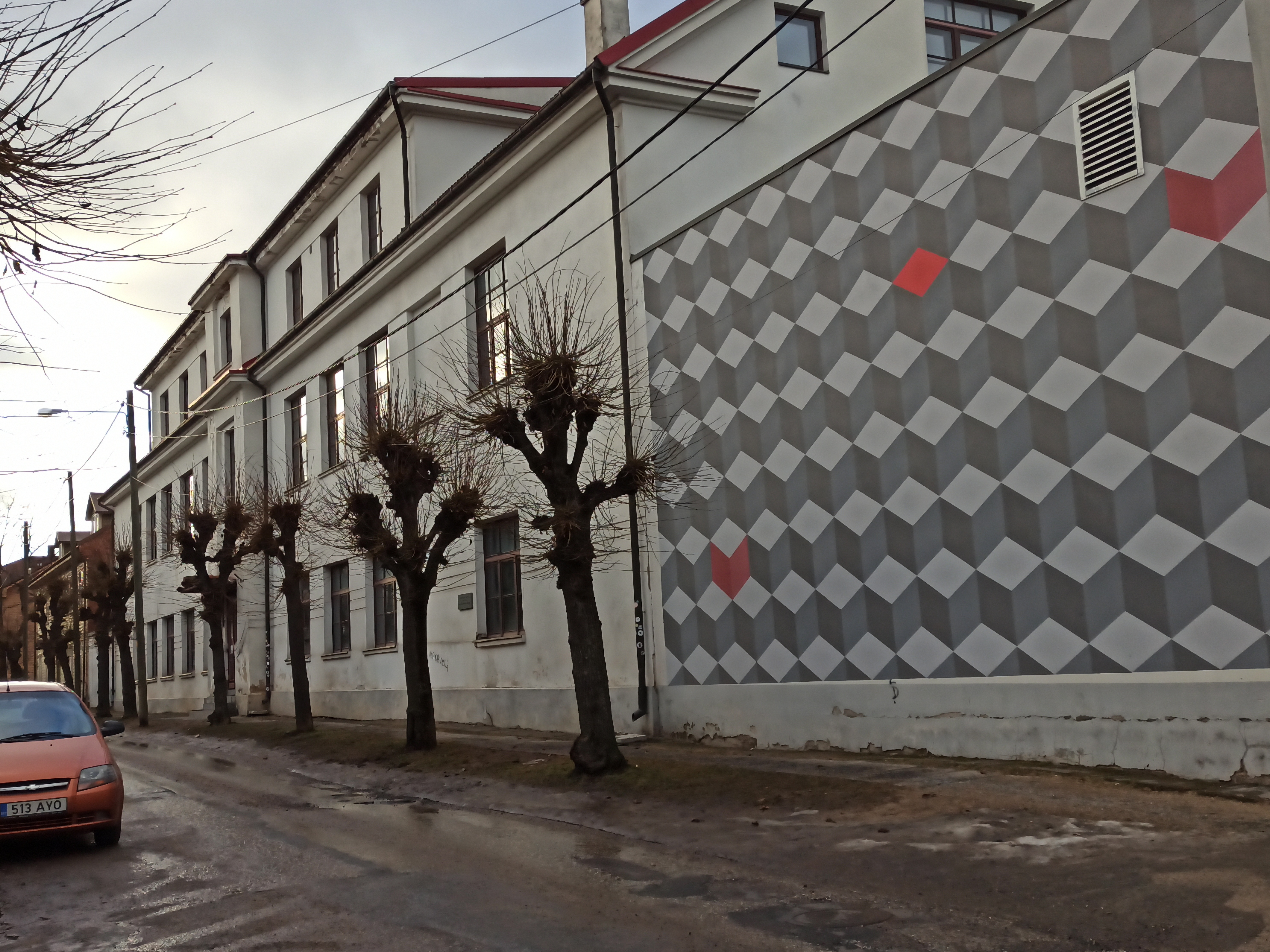 Tänavavaade rephoto