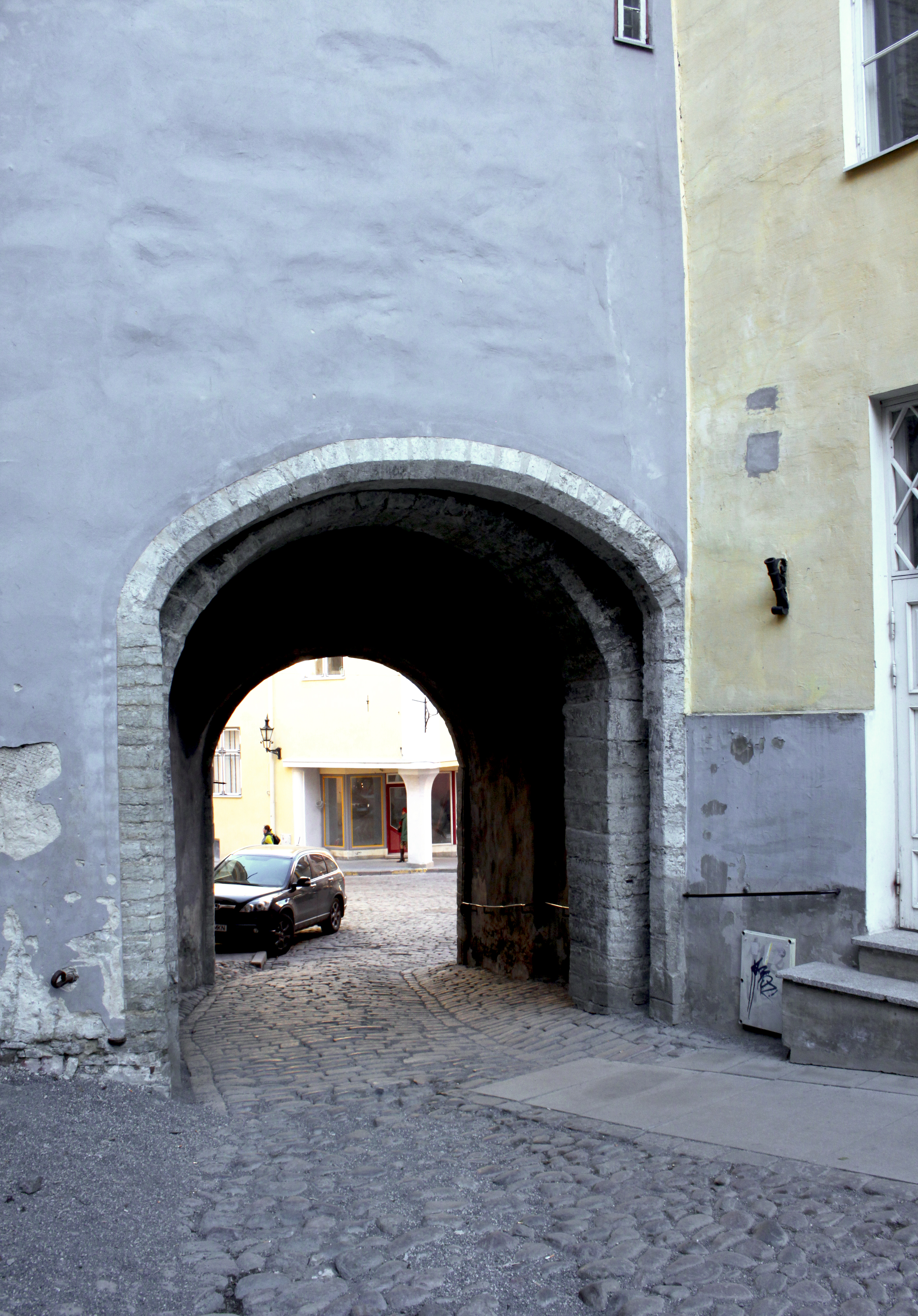 Pika jala värav rephoto