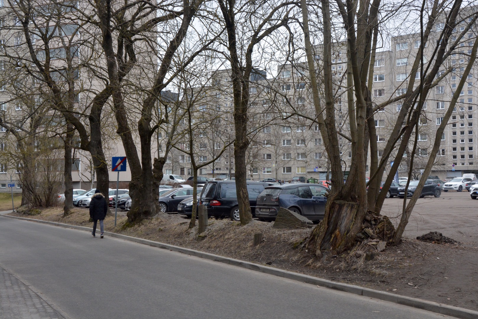 TLA 1465 1 525 Liivamäe tn 2, property no 883, 883b Uusbergi heir property 21 04 1938 photo e Brockner - Liivamäe tn 2, property no 883, 883b Uusbergi heir property rephoto