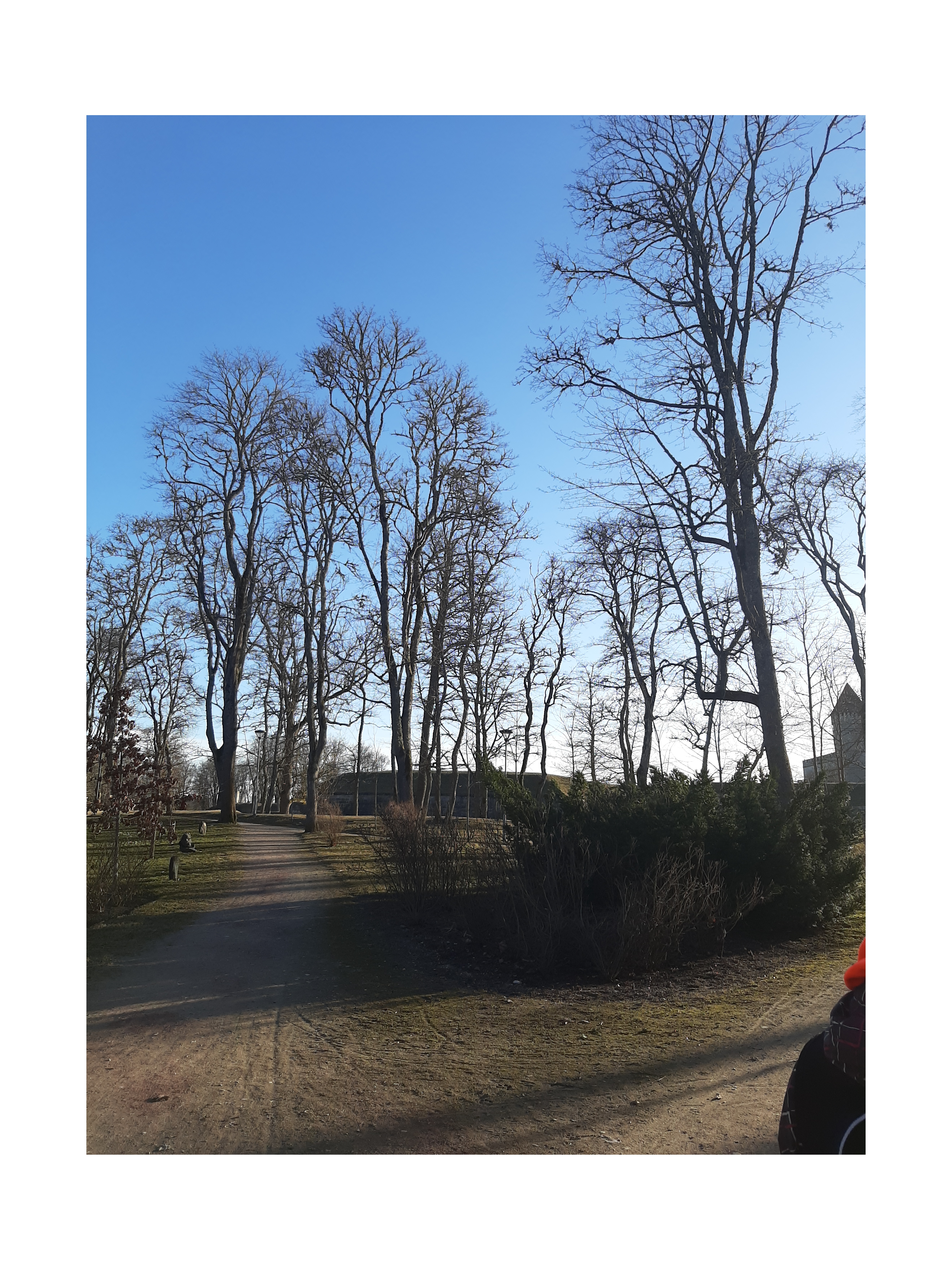 Vladimir Deyev Memorial Stadium Saare County Kuressaare City Park rephoto