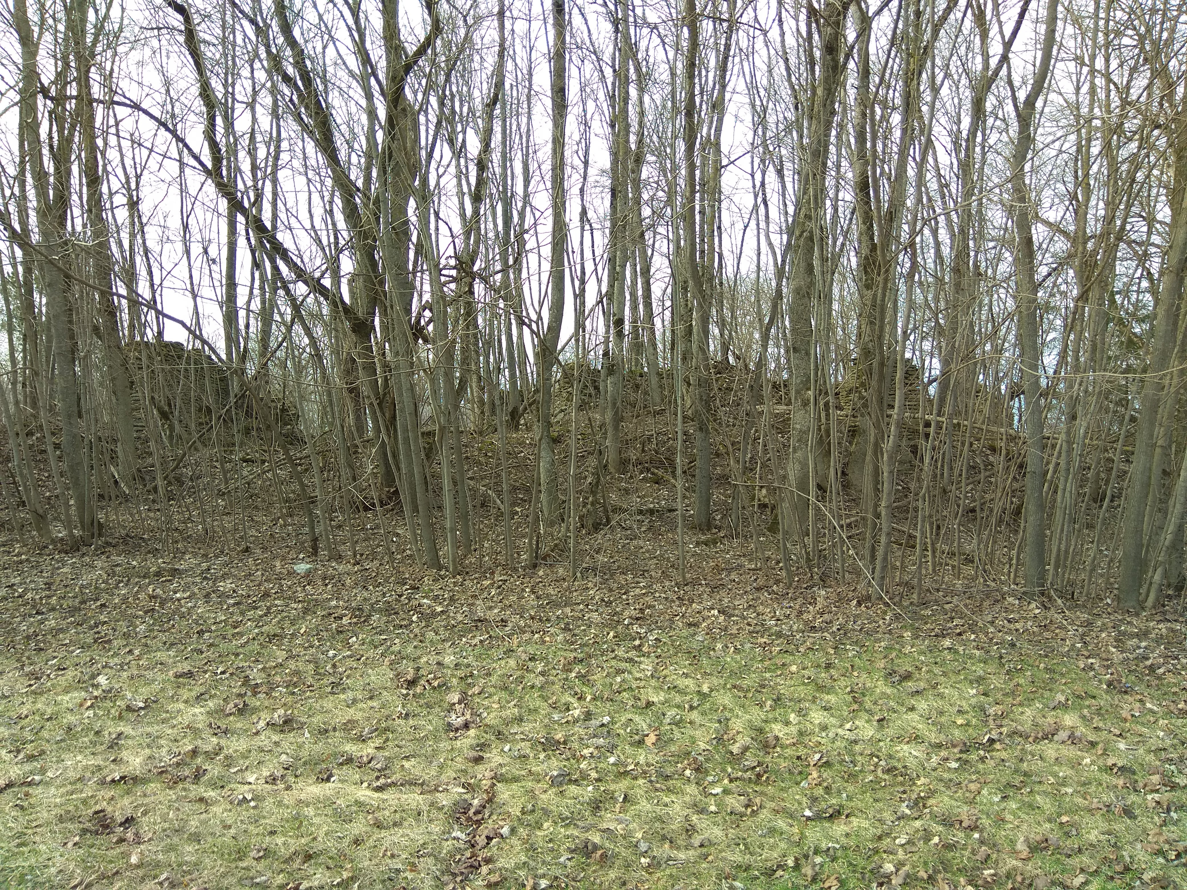 Varangu Manor main building Lääne-Viru county Haljala county Varangu village rephoto