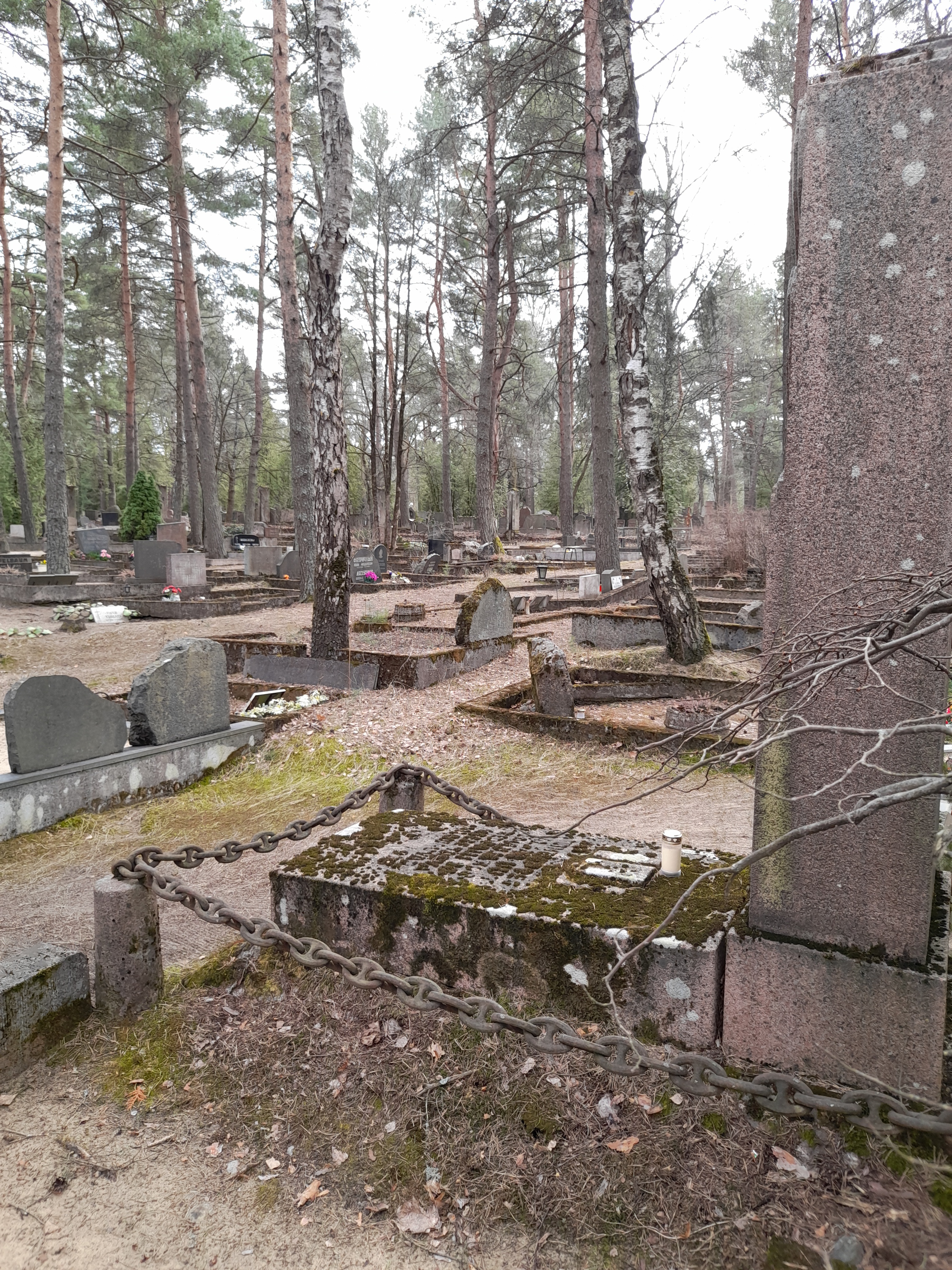 Elo Tuglas, Friedebert Tuglas ja Johannes Semper Jaan Oksa haual rephoto