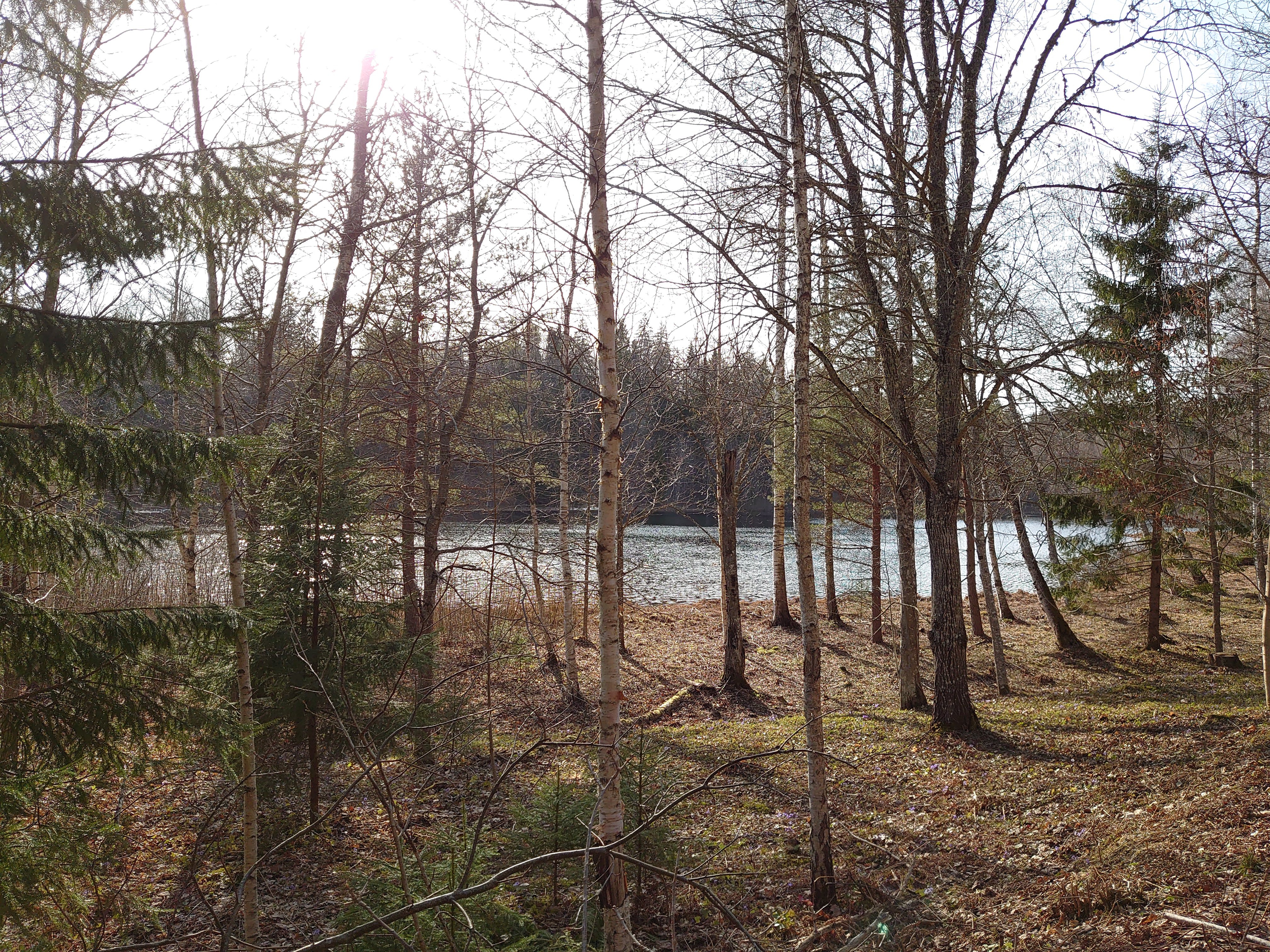 Enrolled in : Estonia rephoto