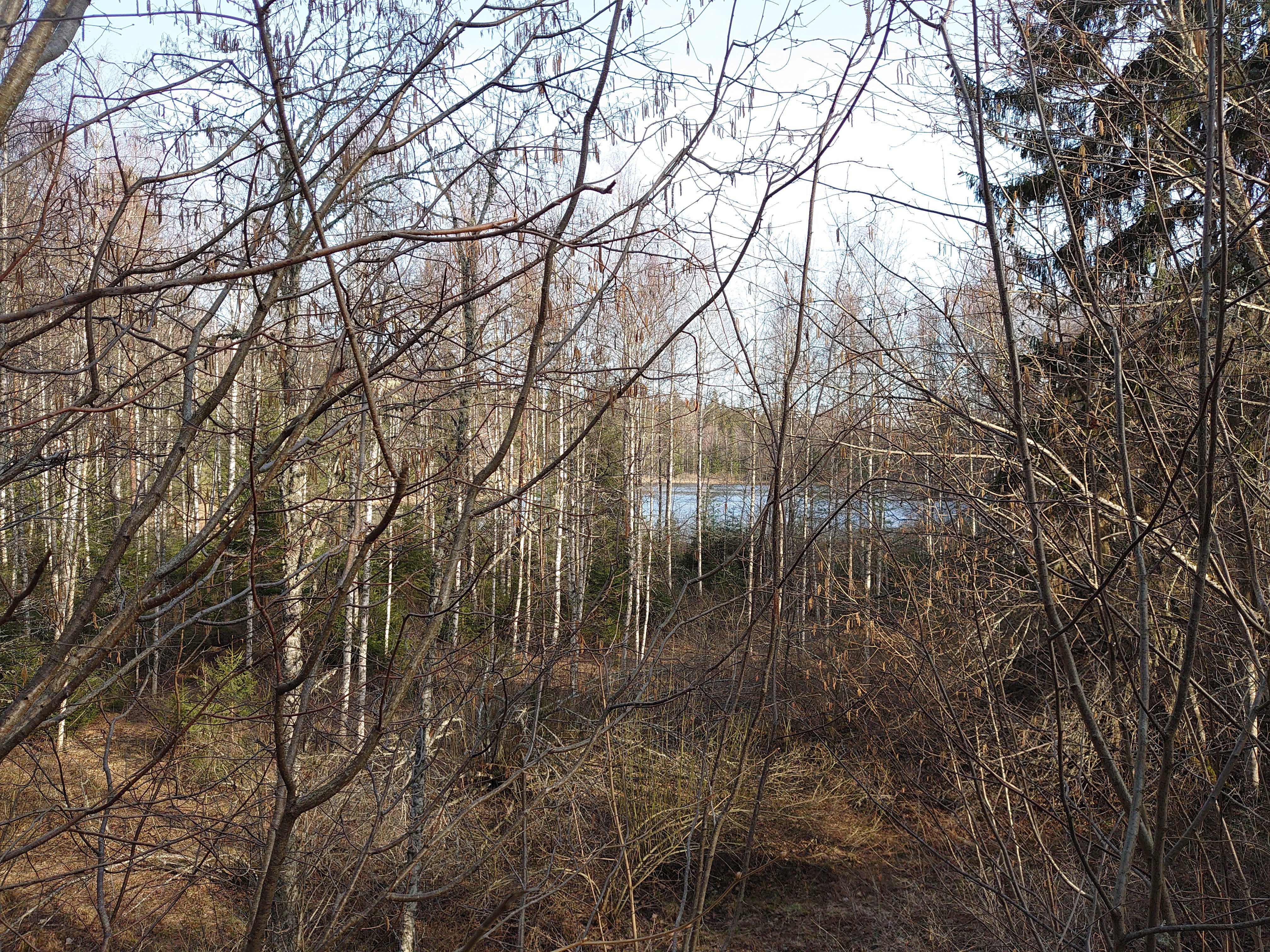 Neeruti Eesjärv, Kadrina khk rephoto