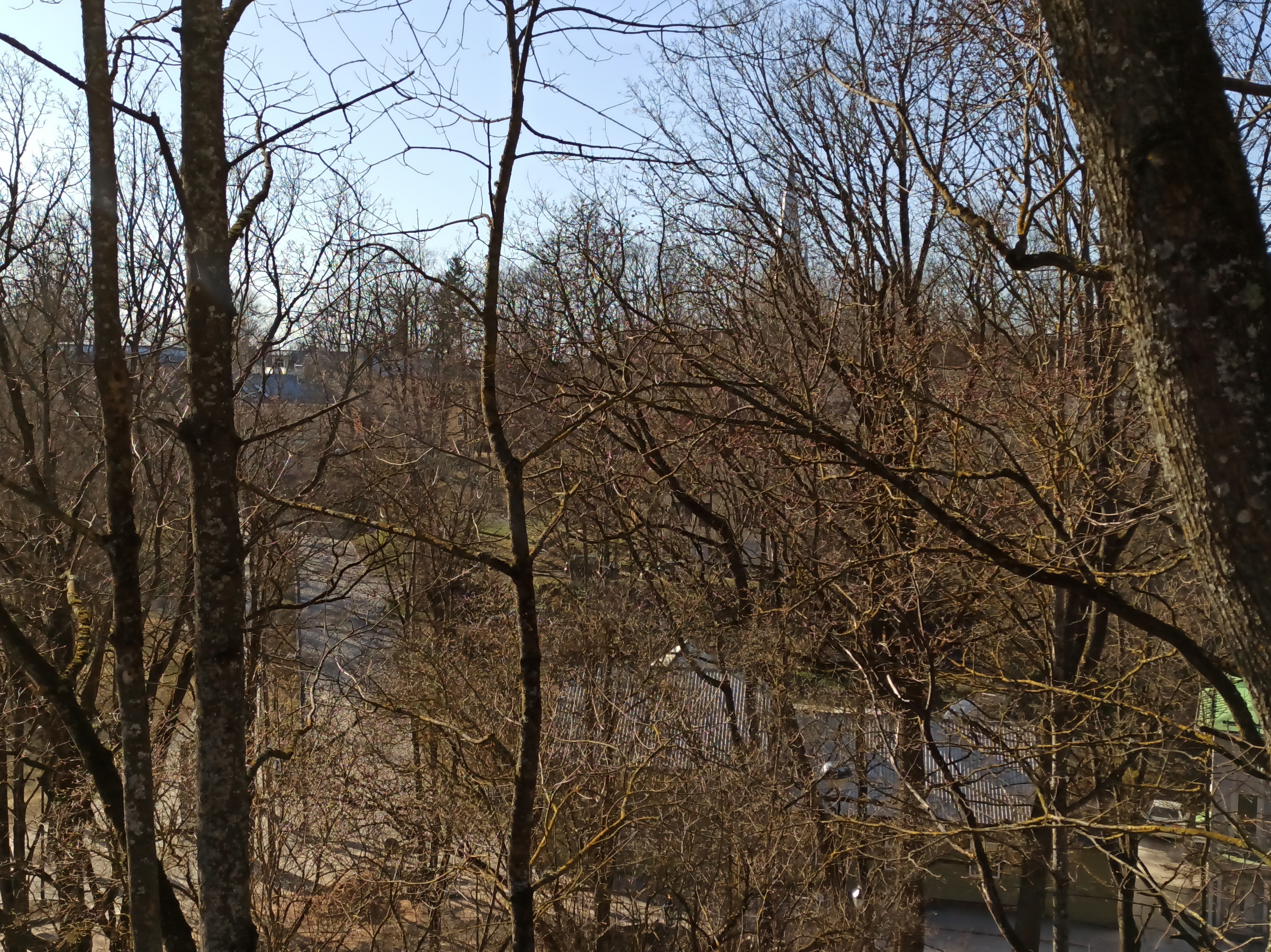 View from Toomemäki towards the Catholic Church rephoto