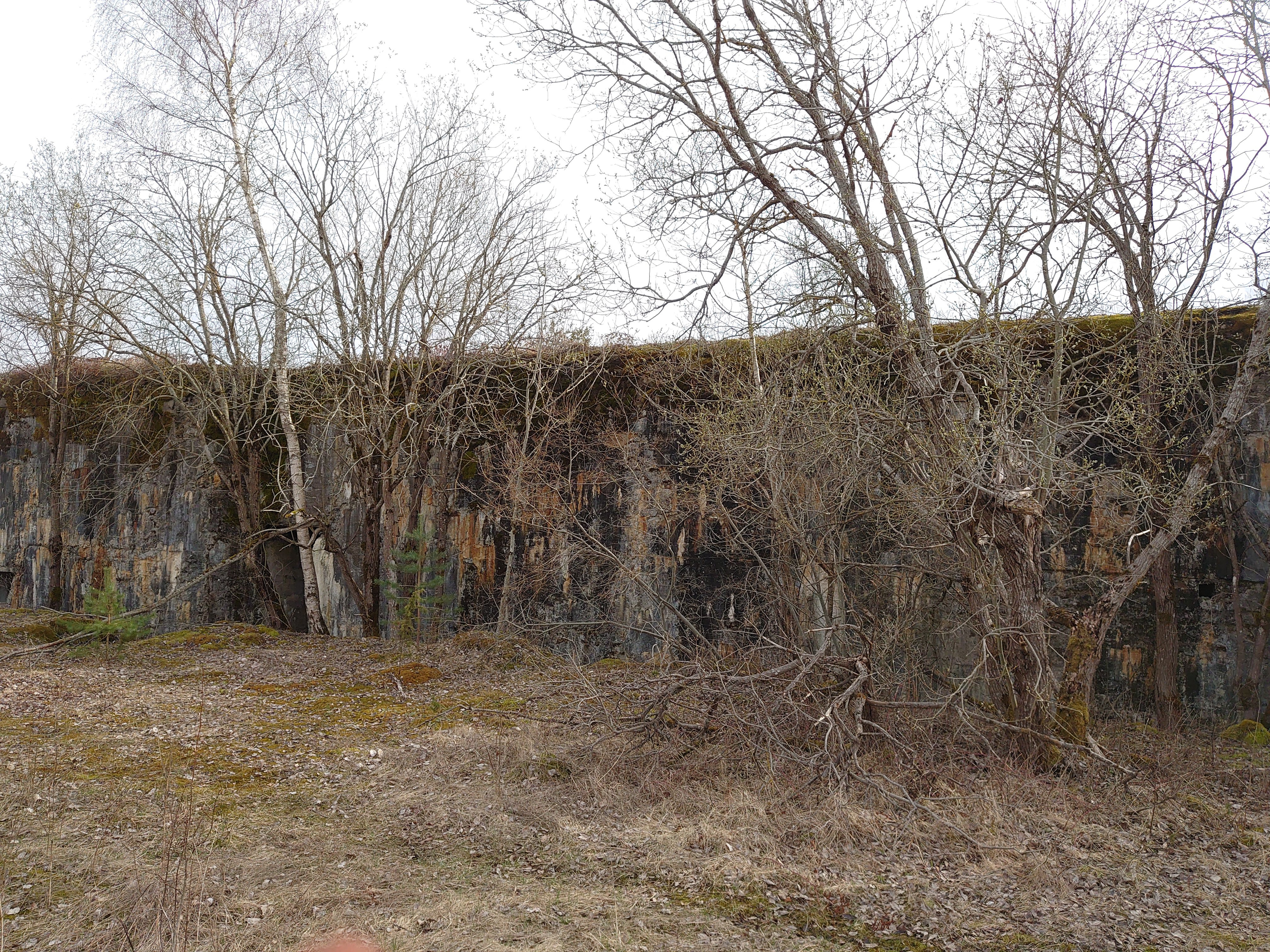 World War I insurances at Vääna-Post rephoto