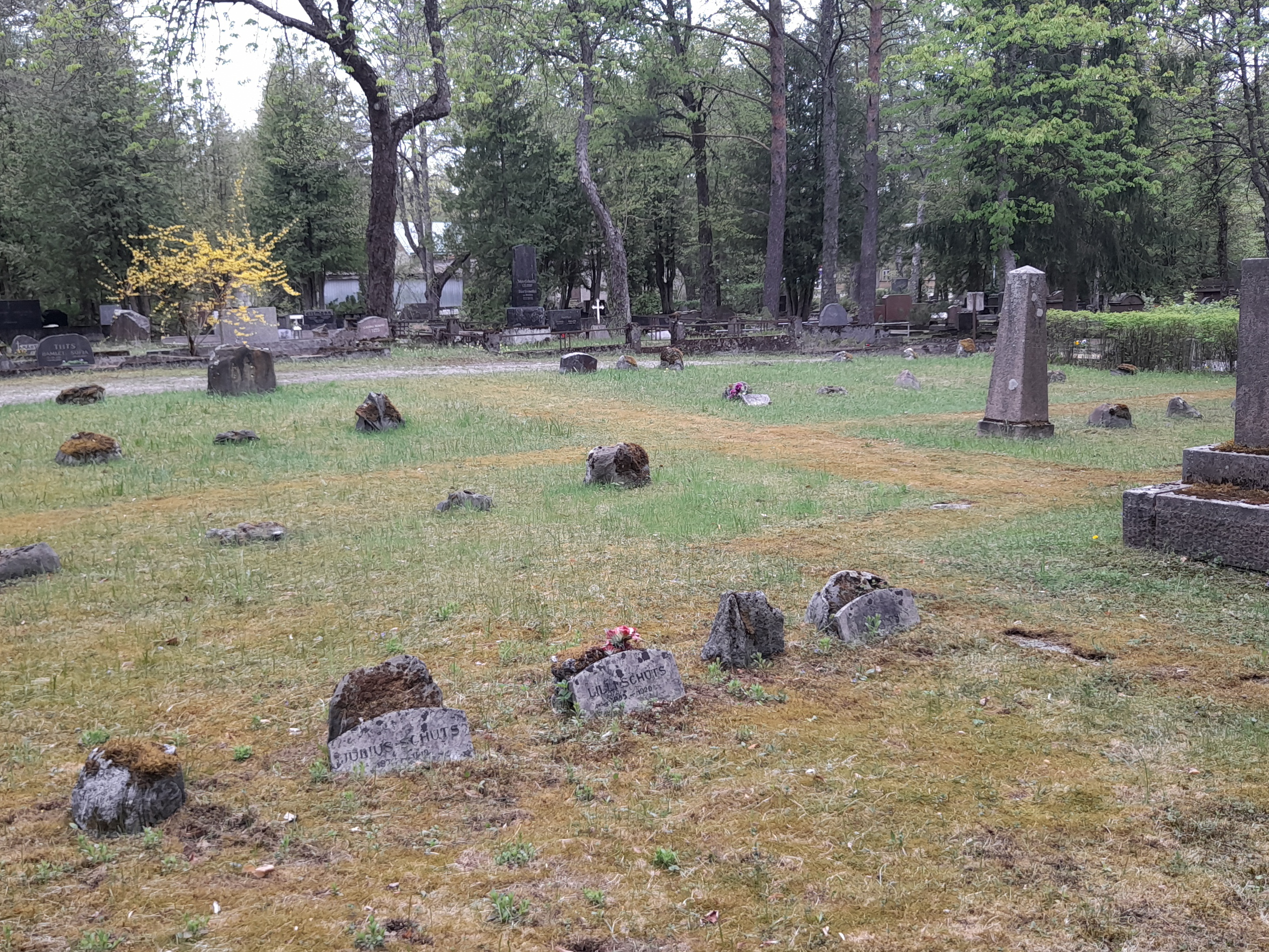 Tallinn, Rahumäe cemetery, the funeral site of the victims of 1905. rephoto