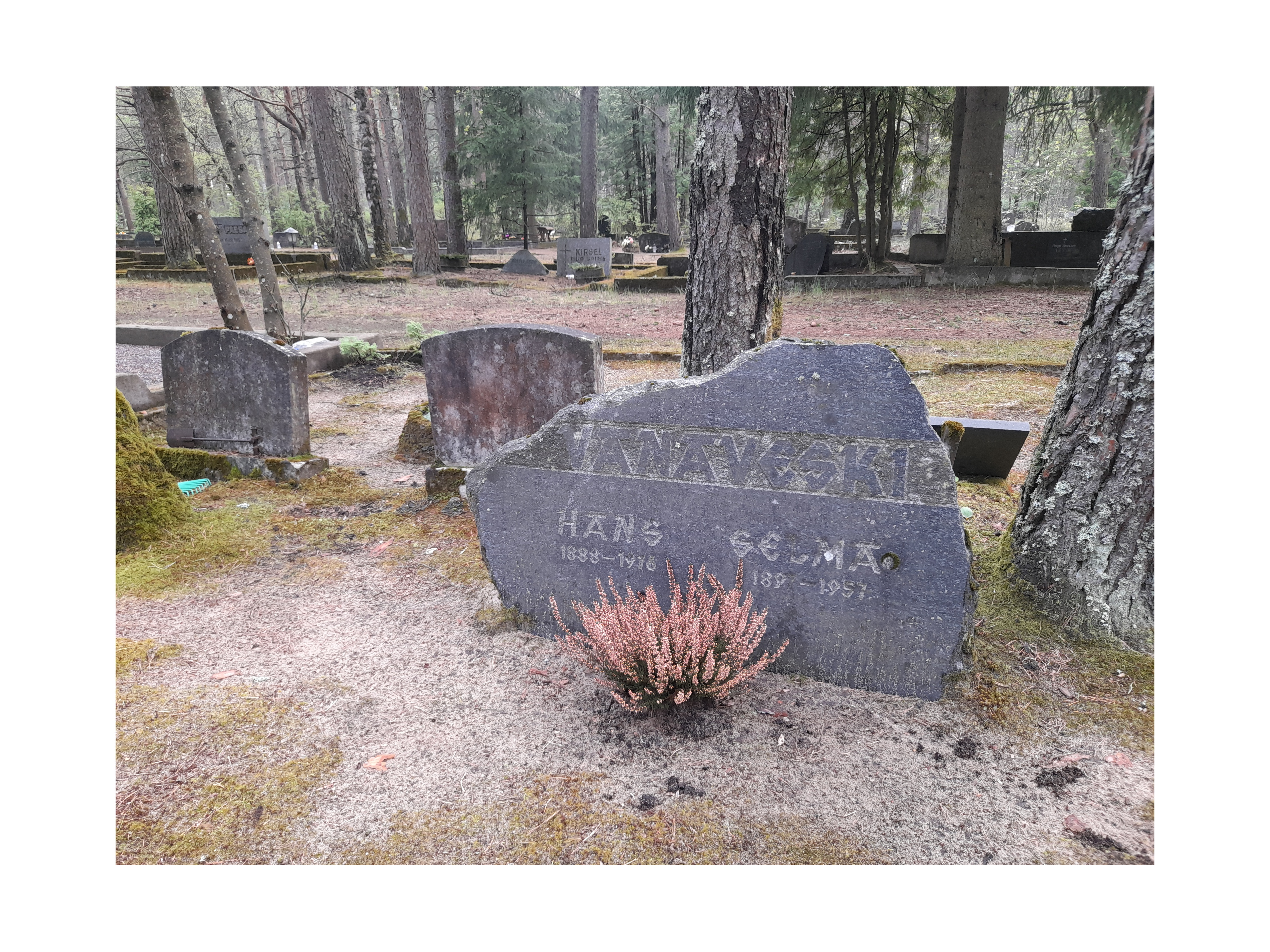 Perekond Vanaveski hauakivi rephoto