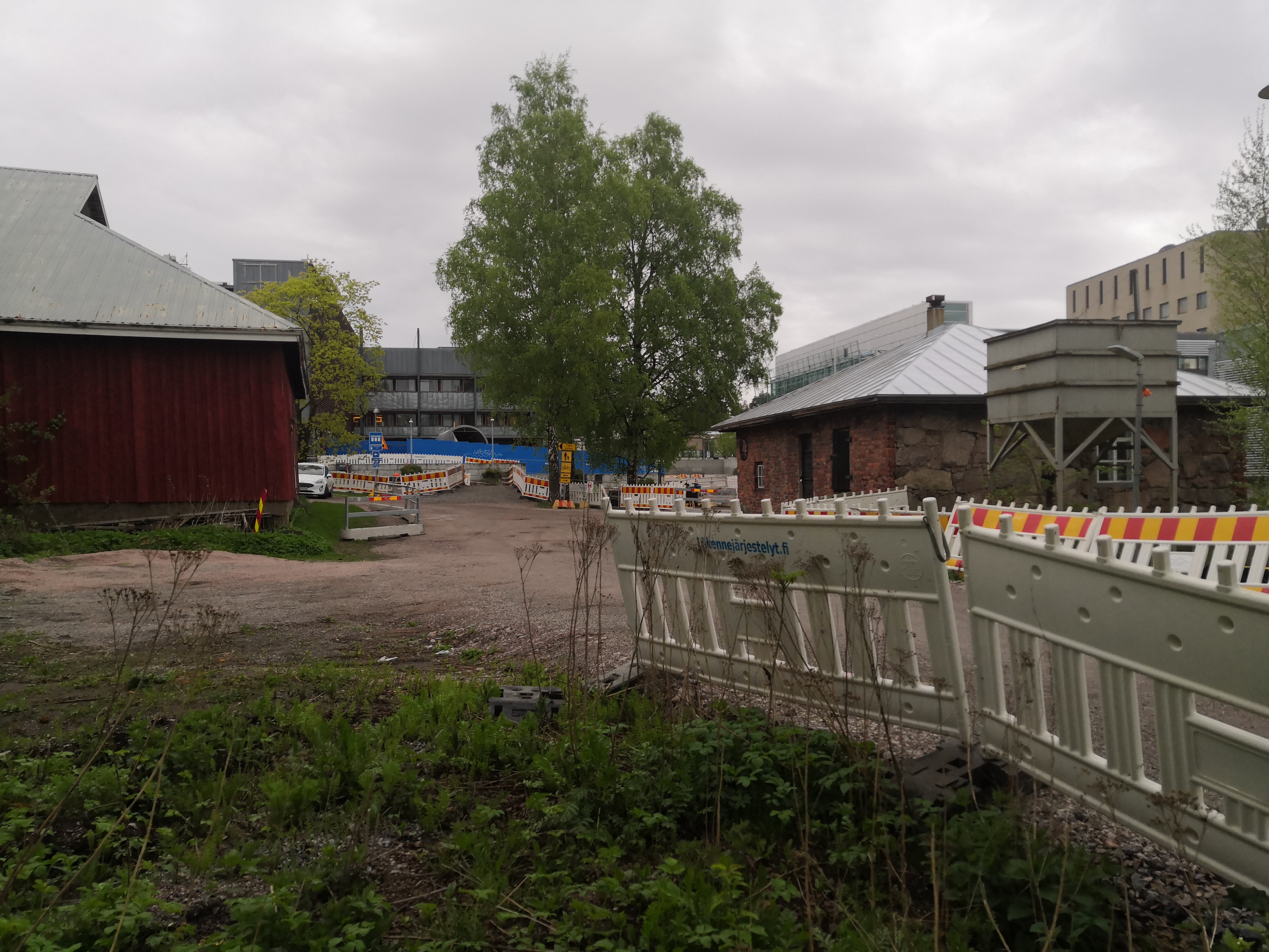 Lampaita Viikin Latokartanossa. Keskellä Viikintie. Taustalla Helsingin yliopiston Viikin maataloustieteellisten laitosten rakennuksia. rephoto