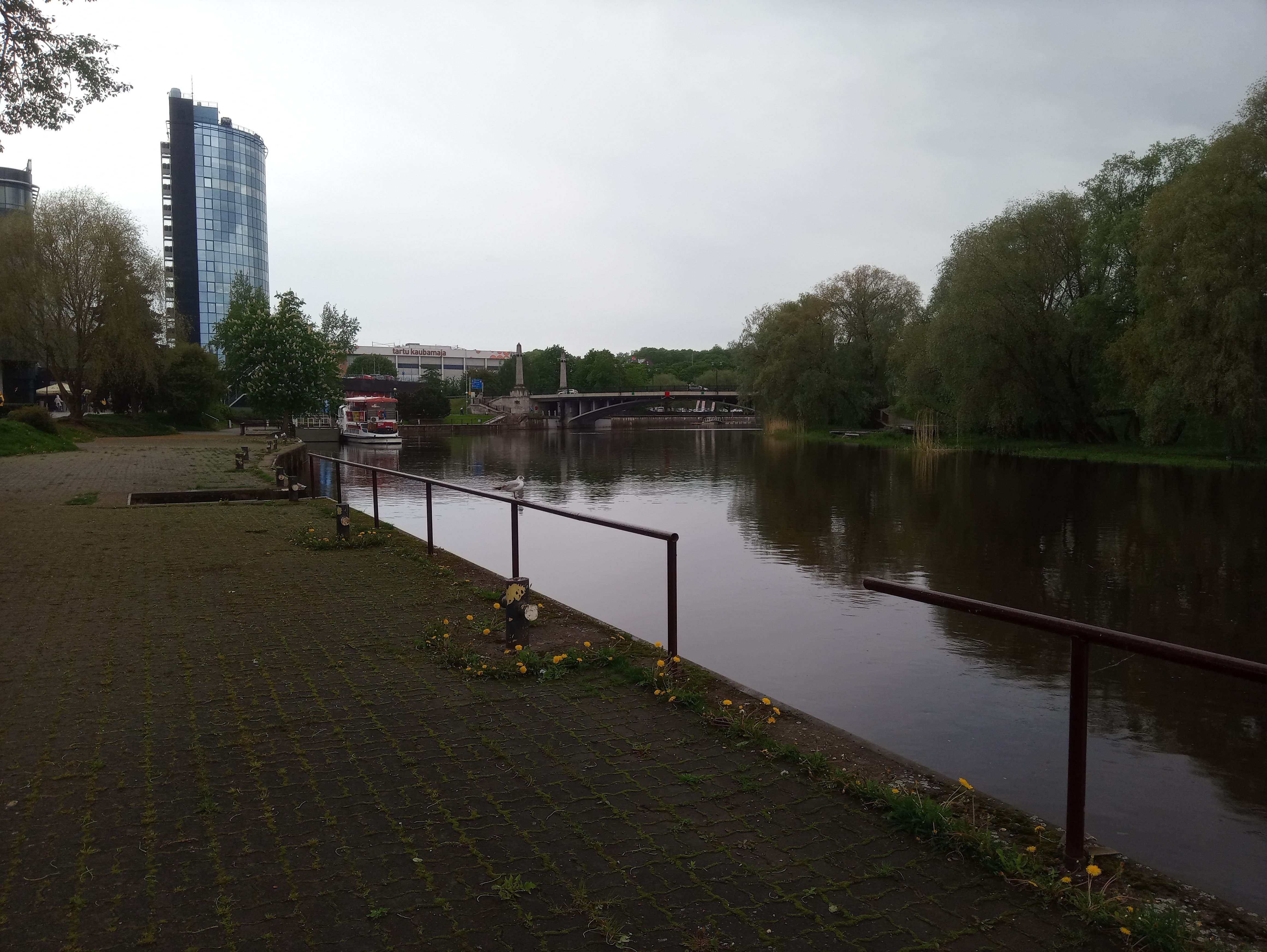 Unloading of heating trees, dressings from lotters rephoto