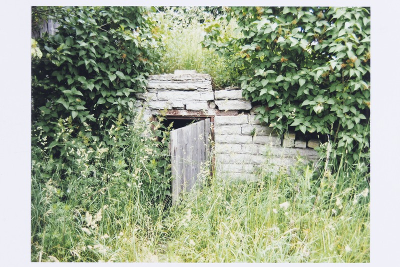 Kubja talu kelder Vandjala külas Hanno Talving Ajapaik