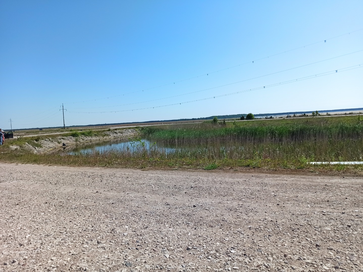 Photossmallveningammmm rephoto