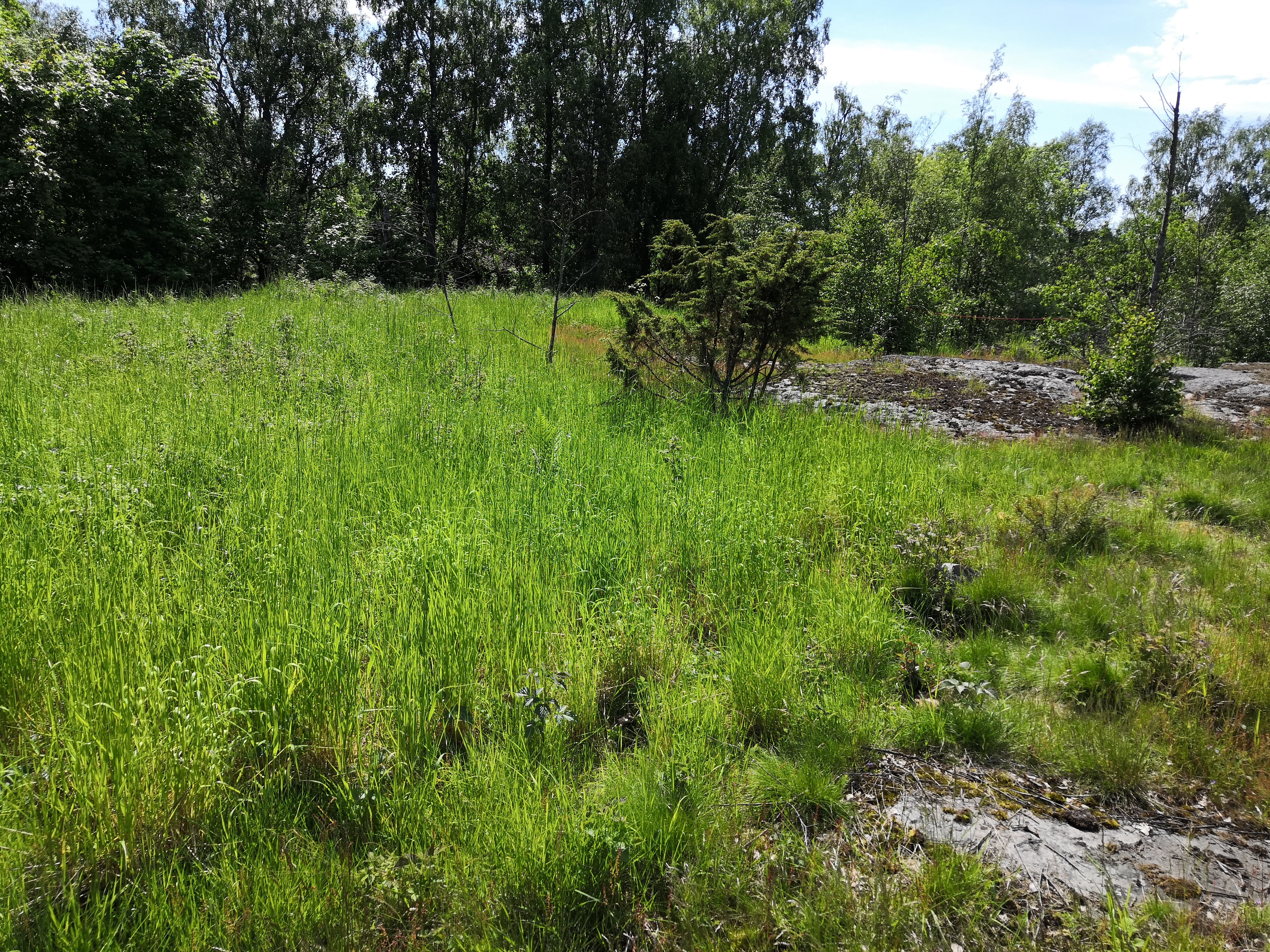 Vallisaaren kansakoulu. rephoto