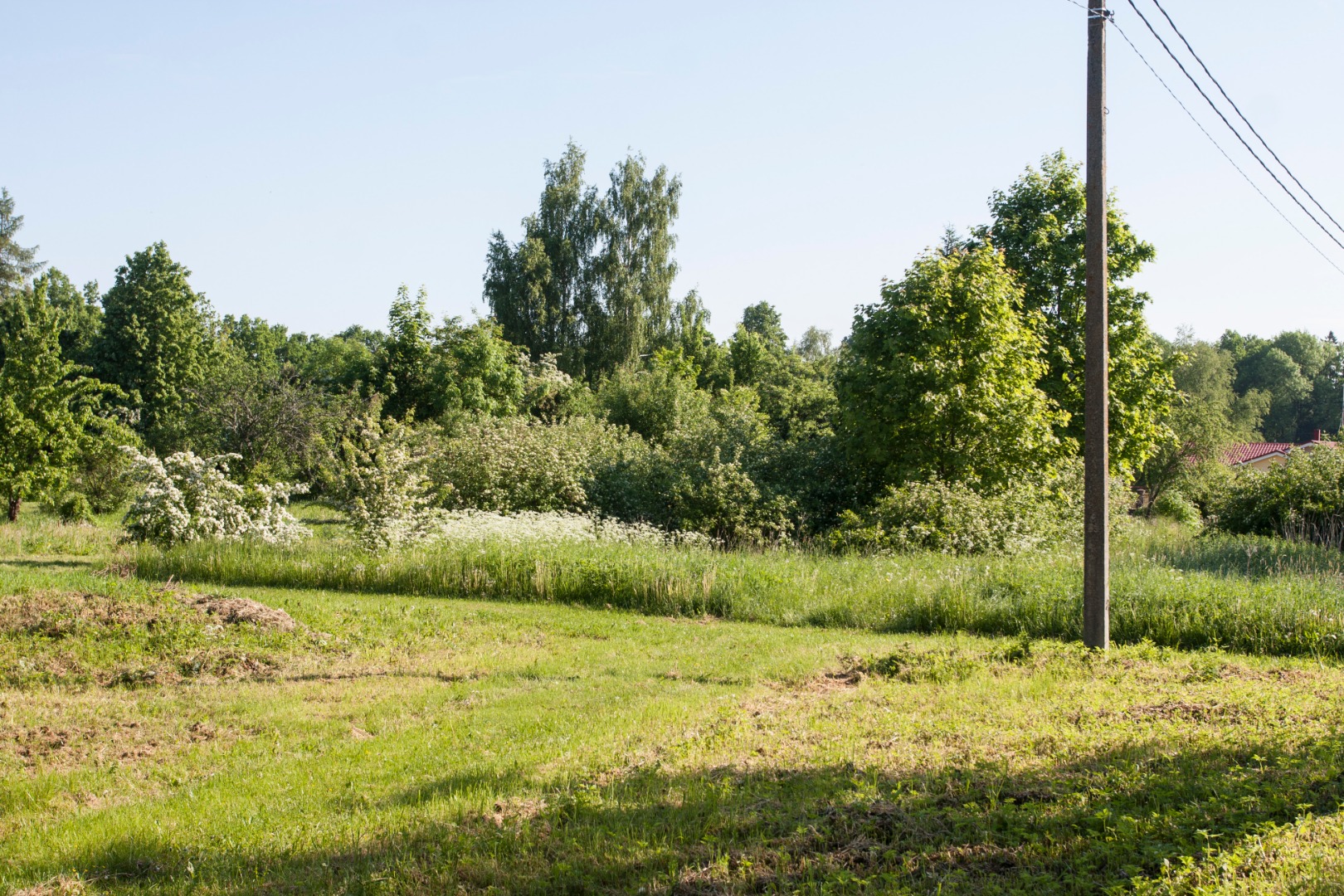 GNST - J.Gagarini nimeline näidissovhoostehnikum rephoto
