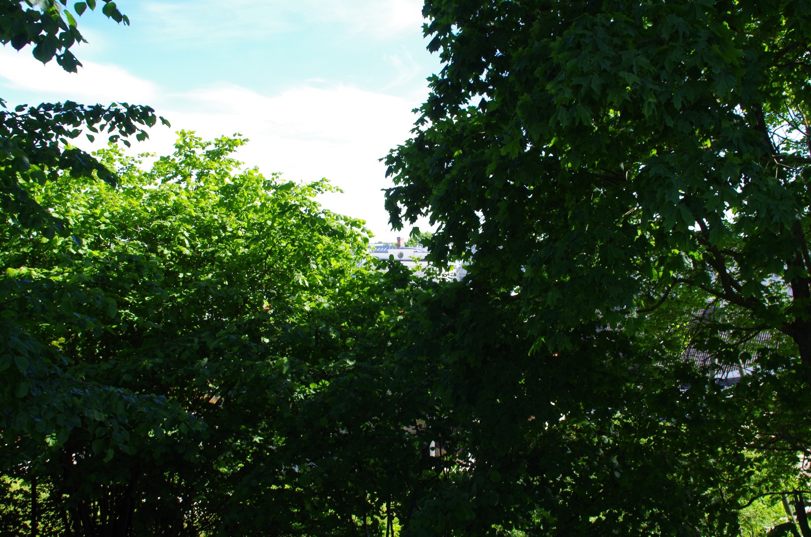 Rakvere rephoto