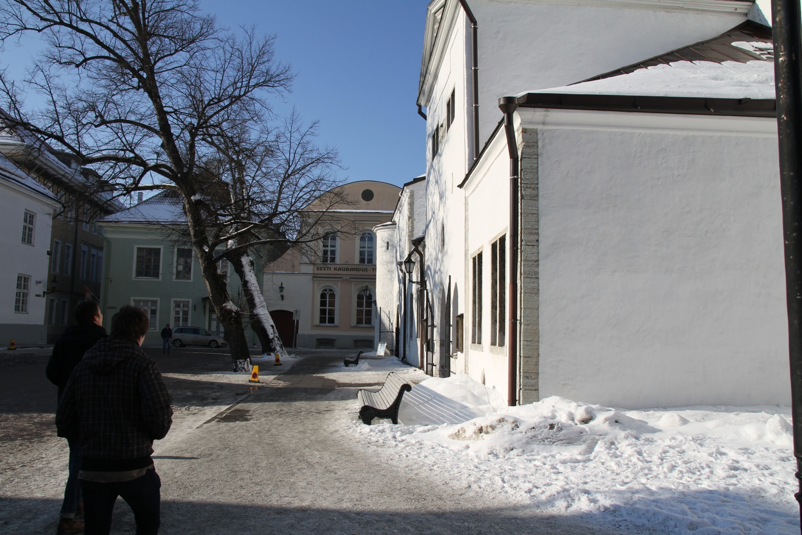Toompea kiriku esised puud rephoto