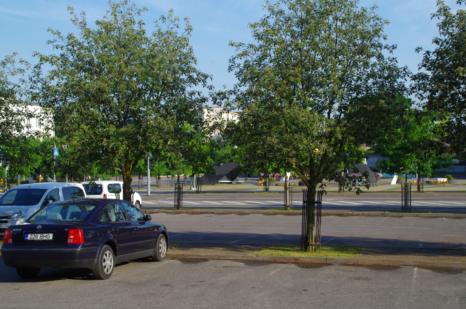 Rakvere, rahvakogunemine Turu platsil rephoto