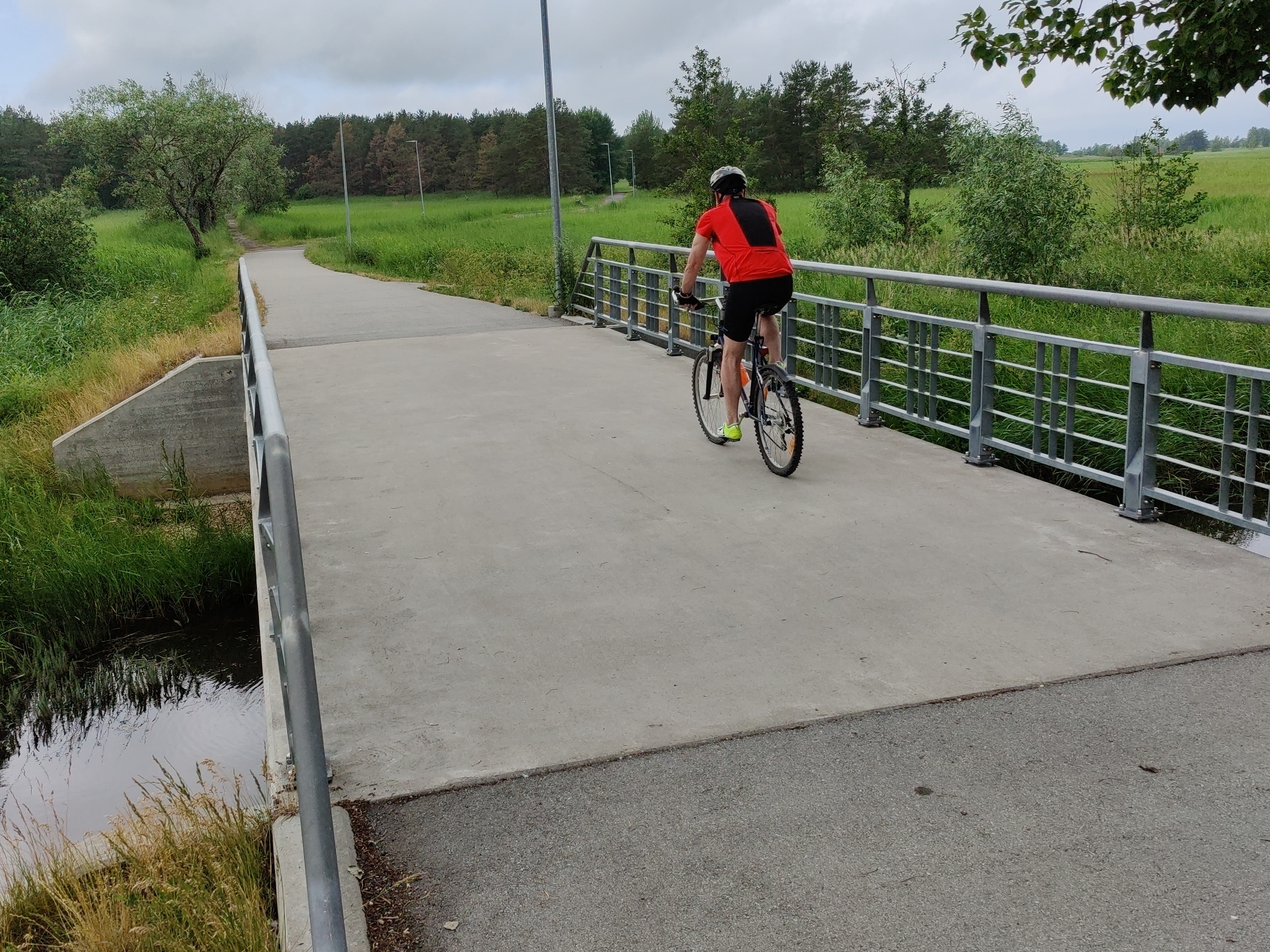 Foto. Paralepa jalakäijate sild vee all pärast 1981. a. novembritormi. rephoto