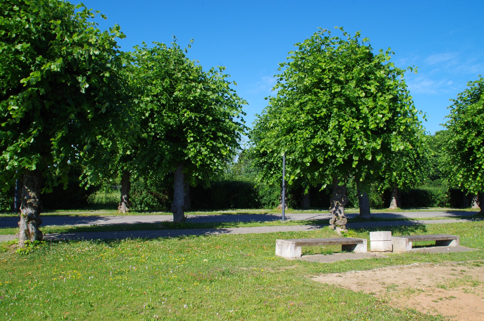 Rakvere Õpetajate Seminari staadionil rephoto